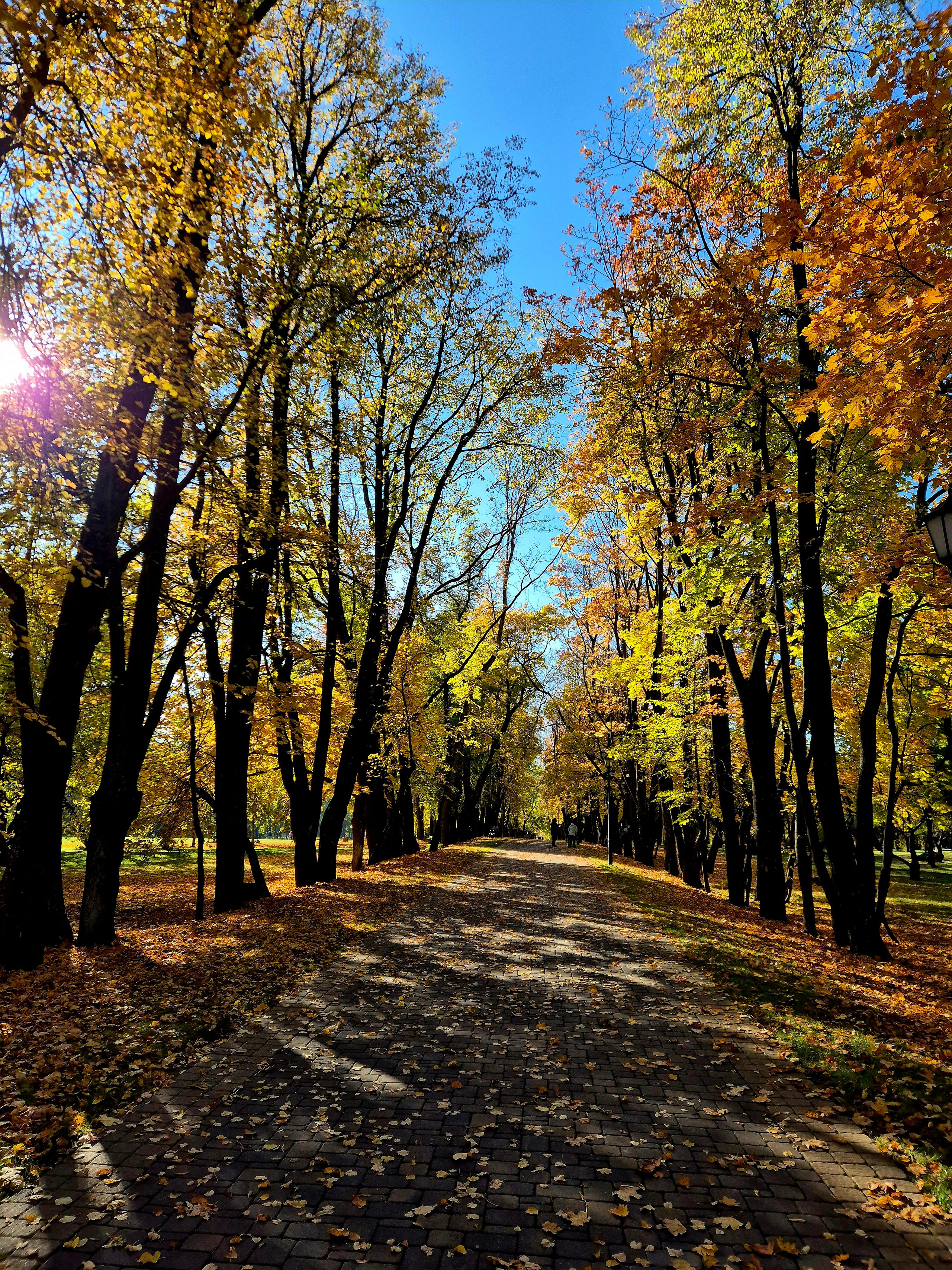 По легенде в день празднования 35-летия ее супруг заметил в объятиях поклонника - графа Чапского. А вечером Ядвига утонула или утопилась