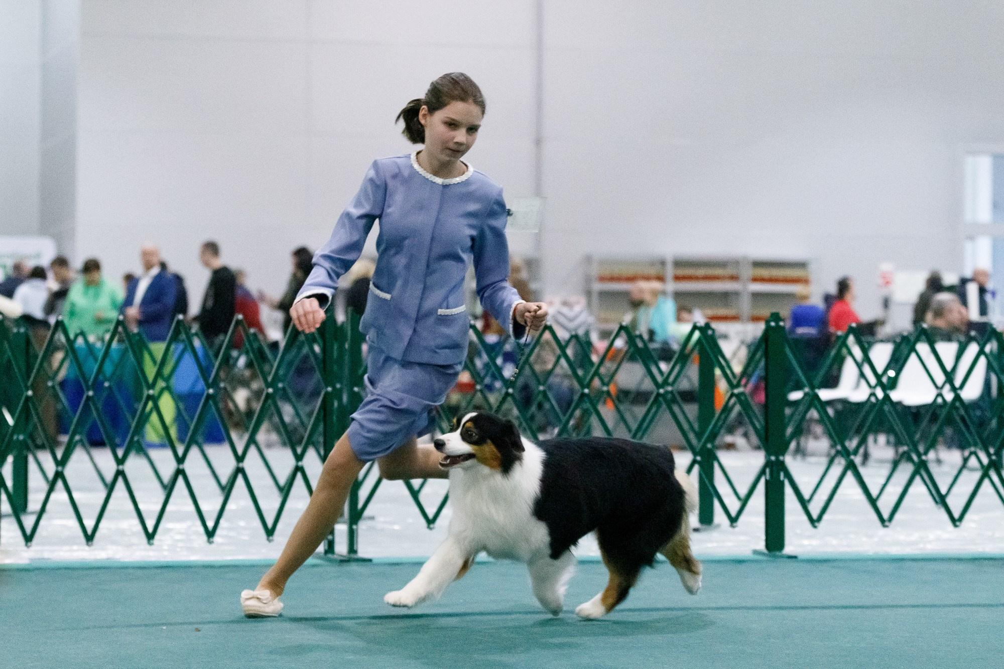 Выставки. Фотограф-анималист в Калуге Мария Шерскова