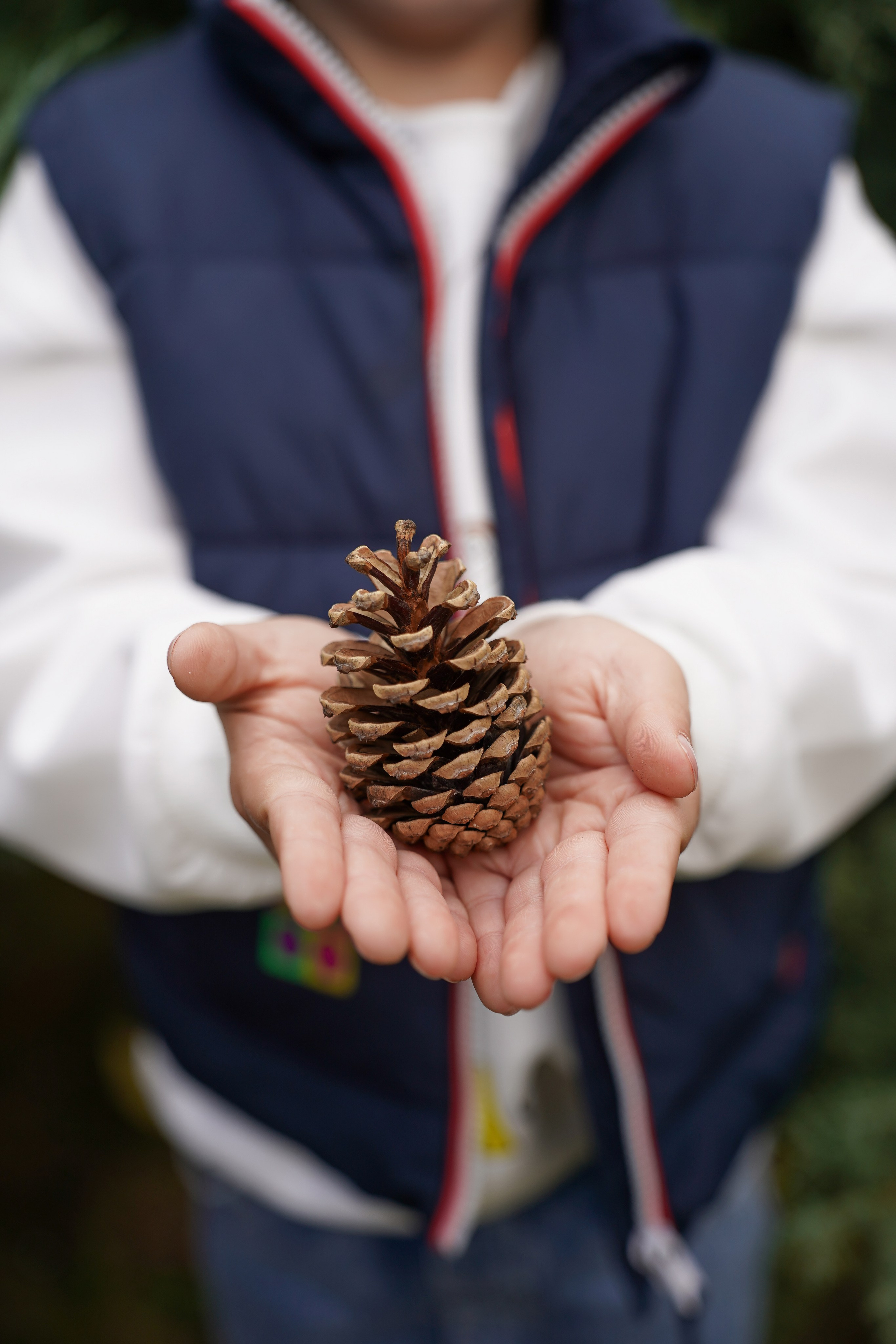 Семейная фотосессия в Абрау-Дюрсо. Фотограф Новороссийск | Геленджик и ЮФО Эльвина Ясинская