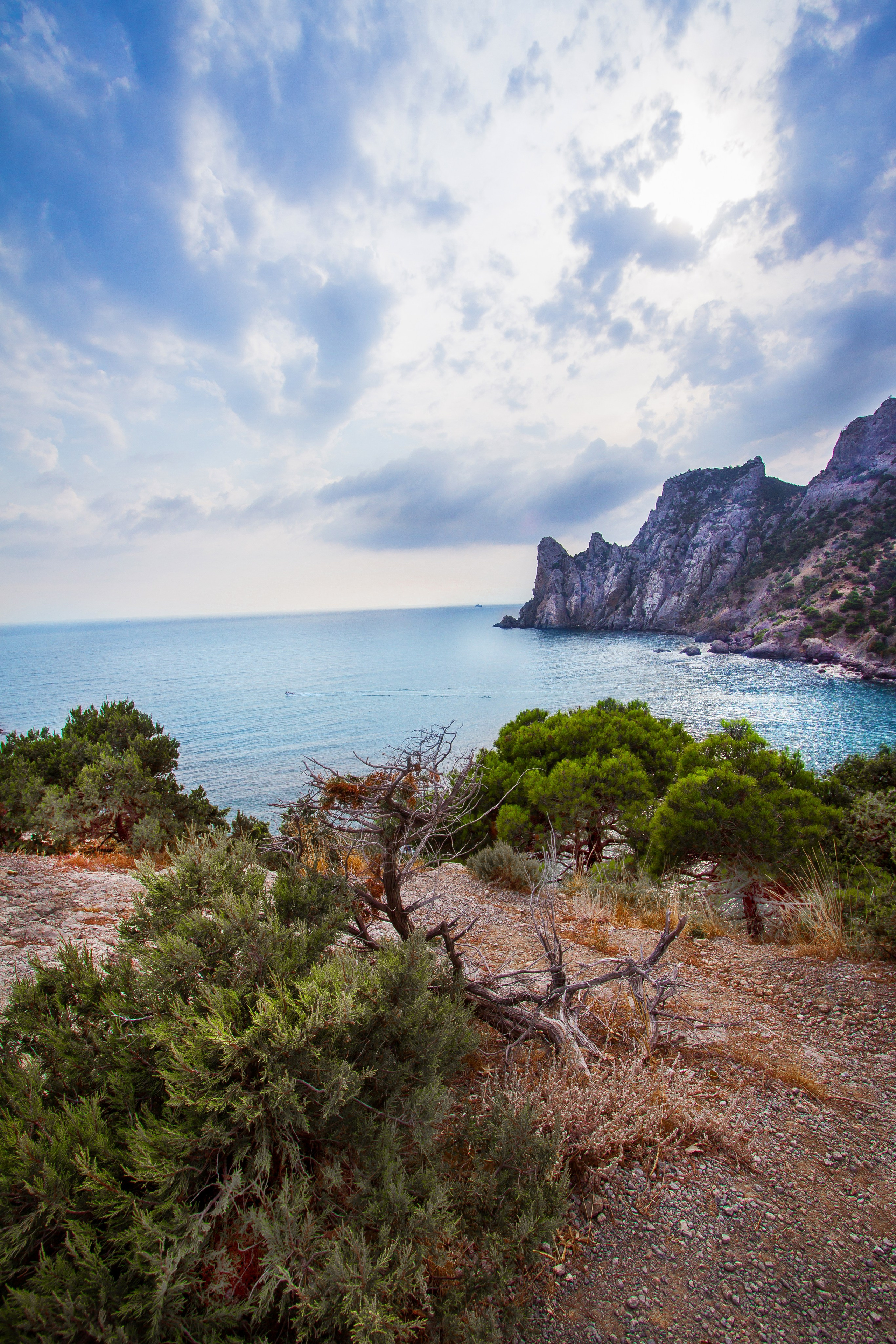 Летние фотосессии. Фотограф и фотохудожник