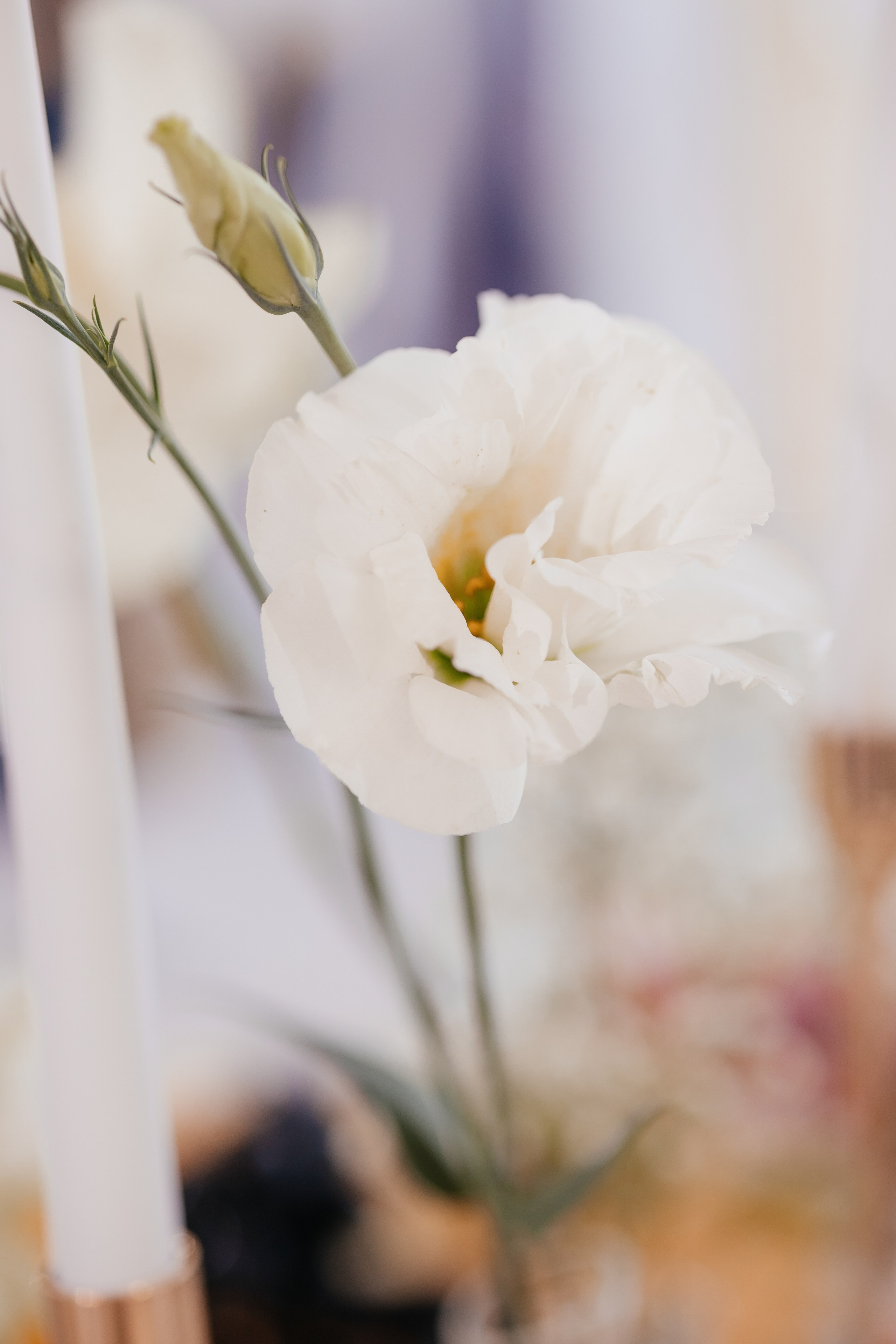 Виталий и Варвара. Фотограф Крохин Олег