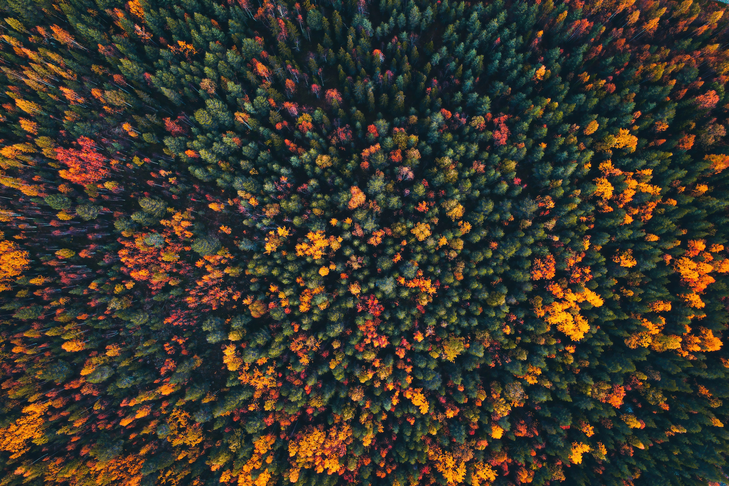 СЕВЕР. Event фотограф Степанова Александра