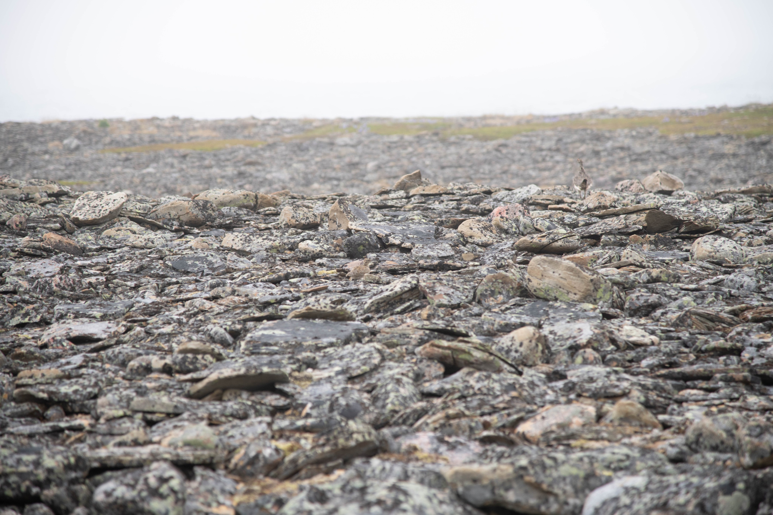 Кольский полуостров. Фотографирую для себя, своей семьи и друзей!