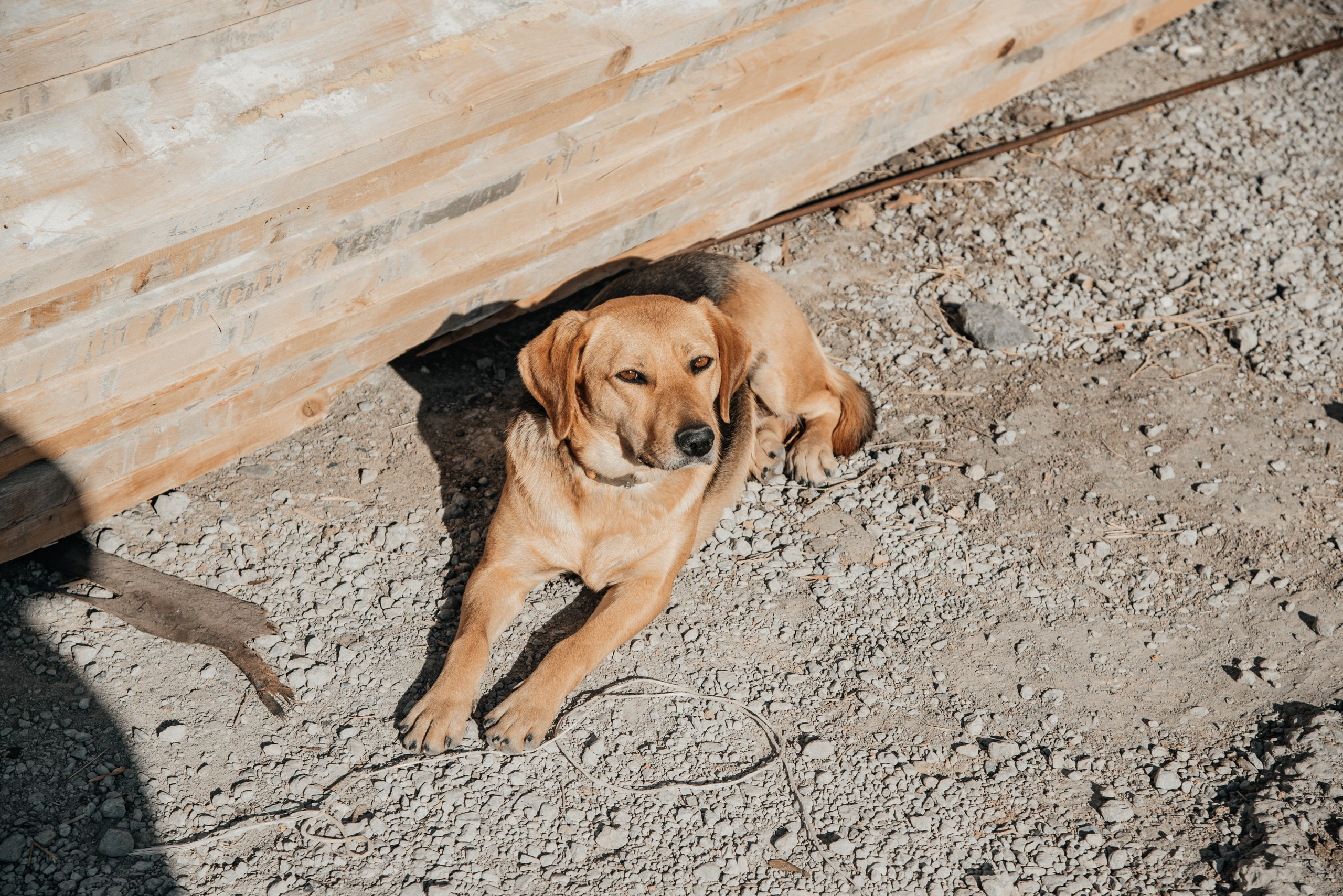 Строительство ЖК. Главная