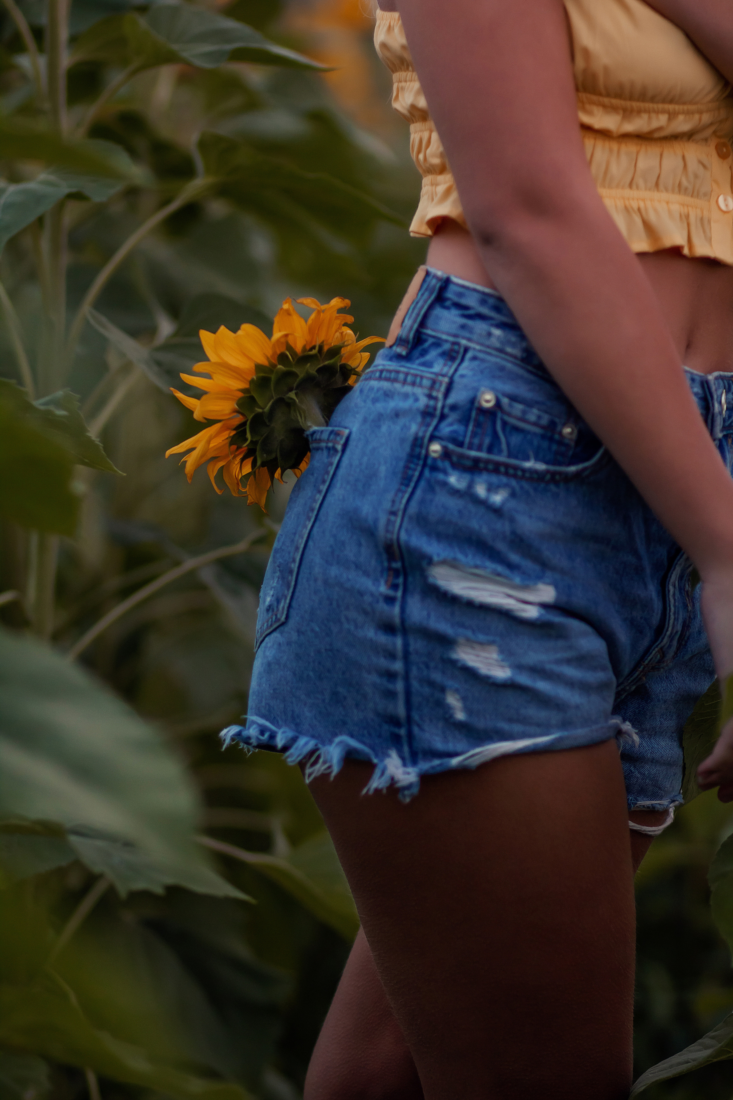 Август. Фотограф в Москве. Елизавета Косицына