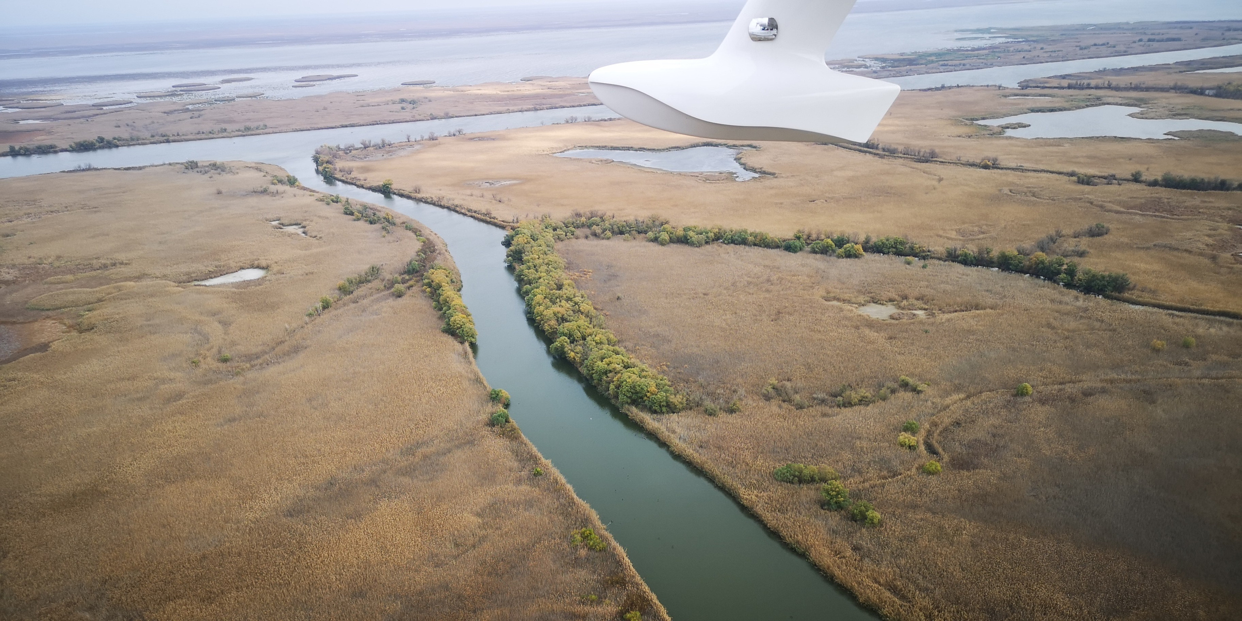 Каспийское море (наука на Ла-8) (2021 г.). Фотоальбом показывающий увлекательный мир авиации и мир медведей Андрея Иванова