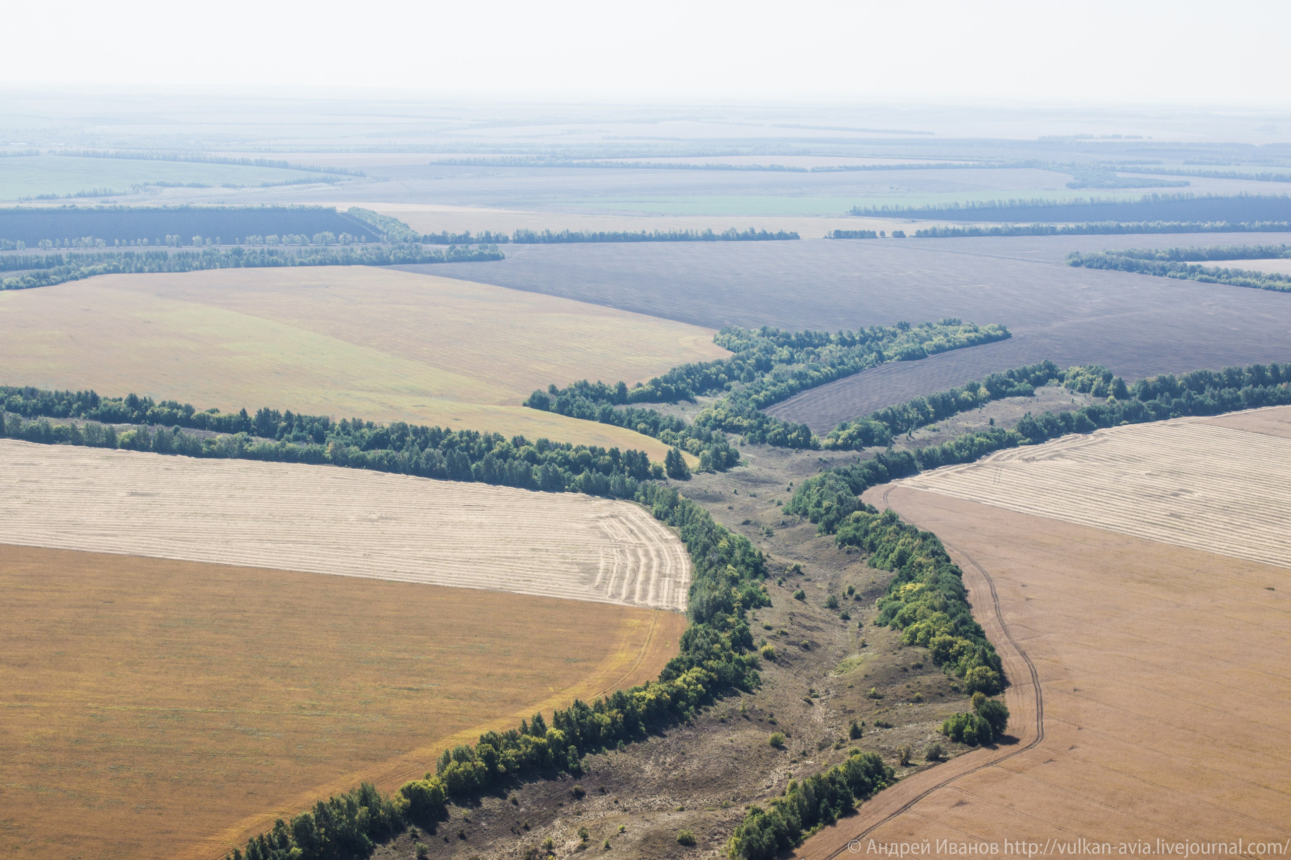 Волгодонск аэр. Потапов слёт «Небо для всех» (2021 г.). Фотоальбом показывающий увлекательный мир авиации и мир медведей Андрея Иванова
