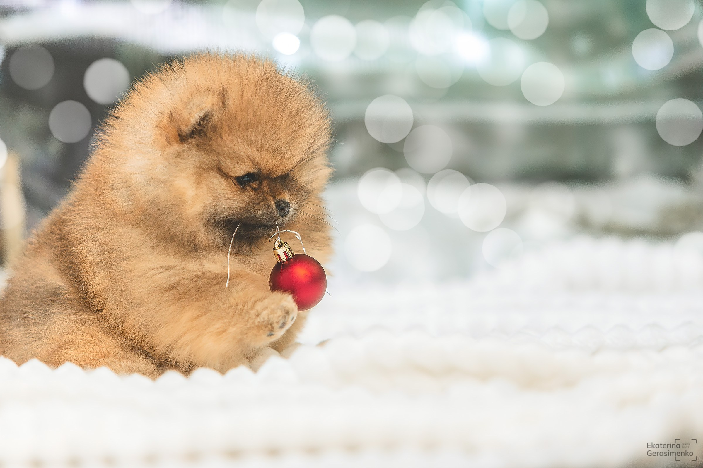 Фотодень. Htykk_photo