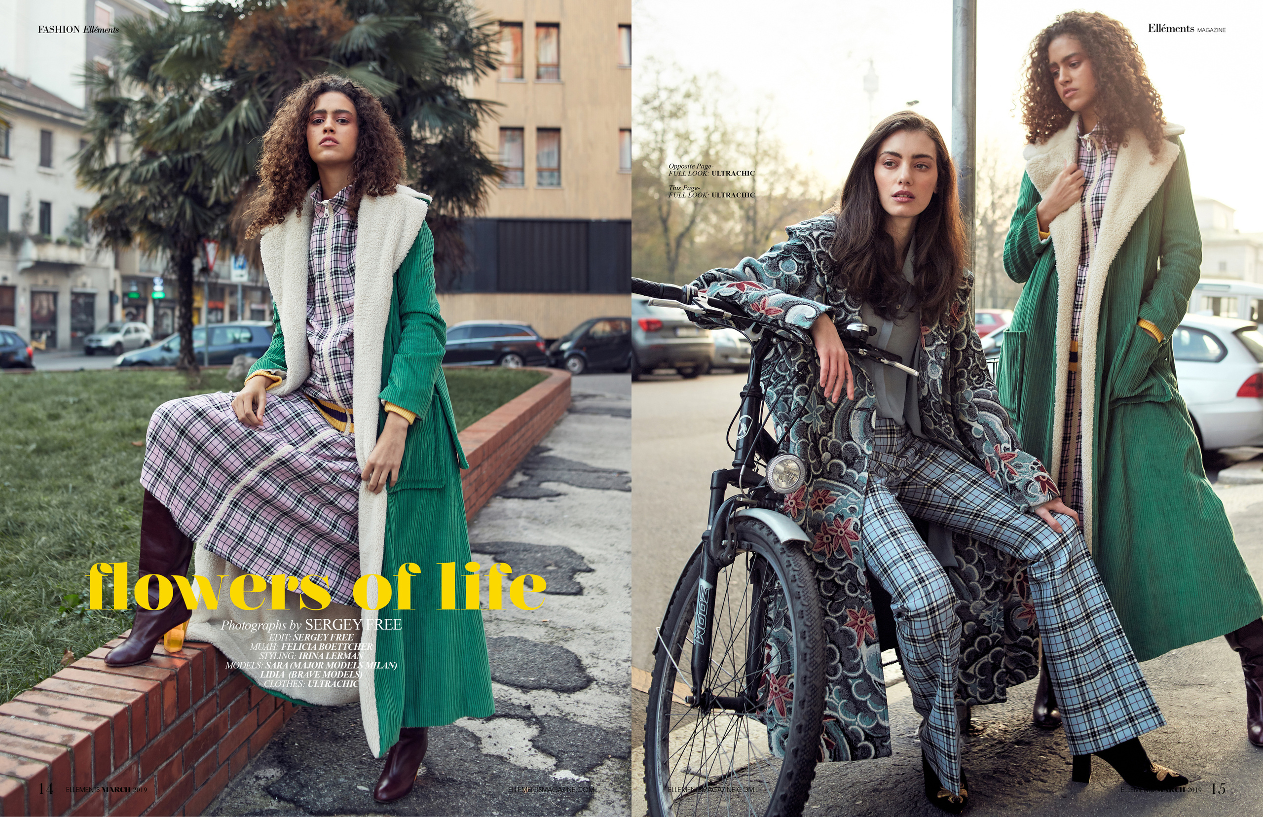 Flowers of life. VIDEO