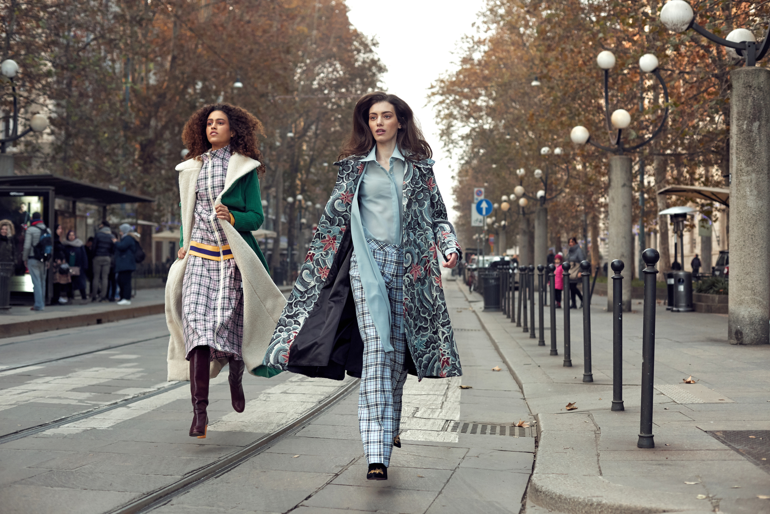 Flowers of life. VIDEO