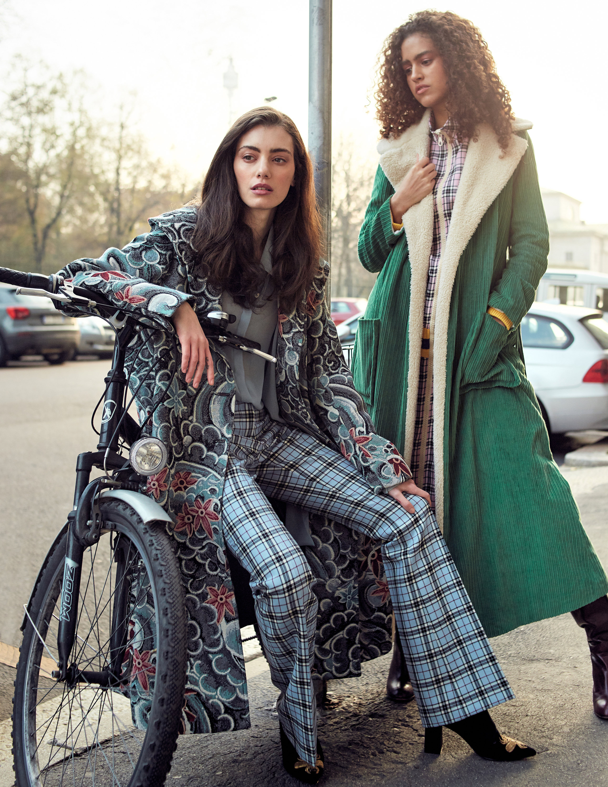 Flowers of life. VIDEO