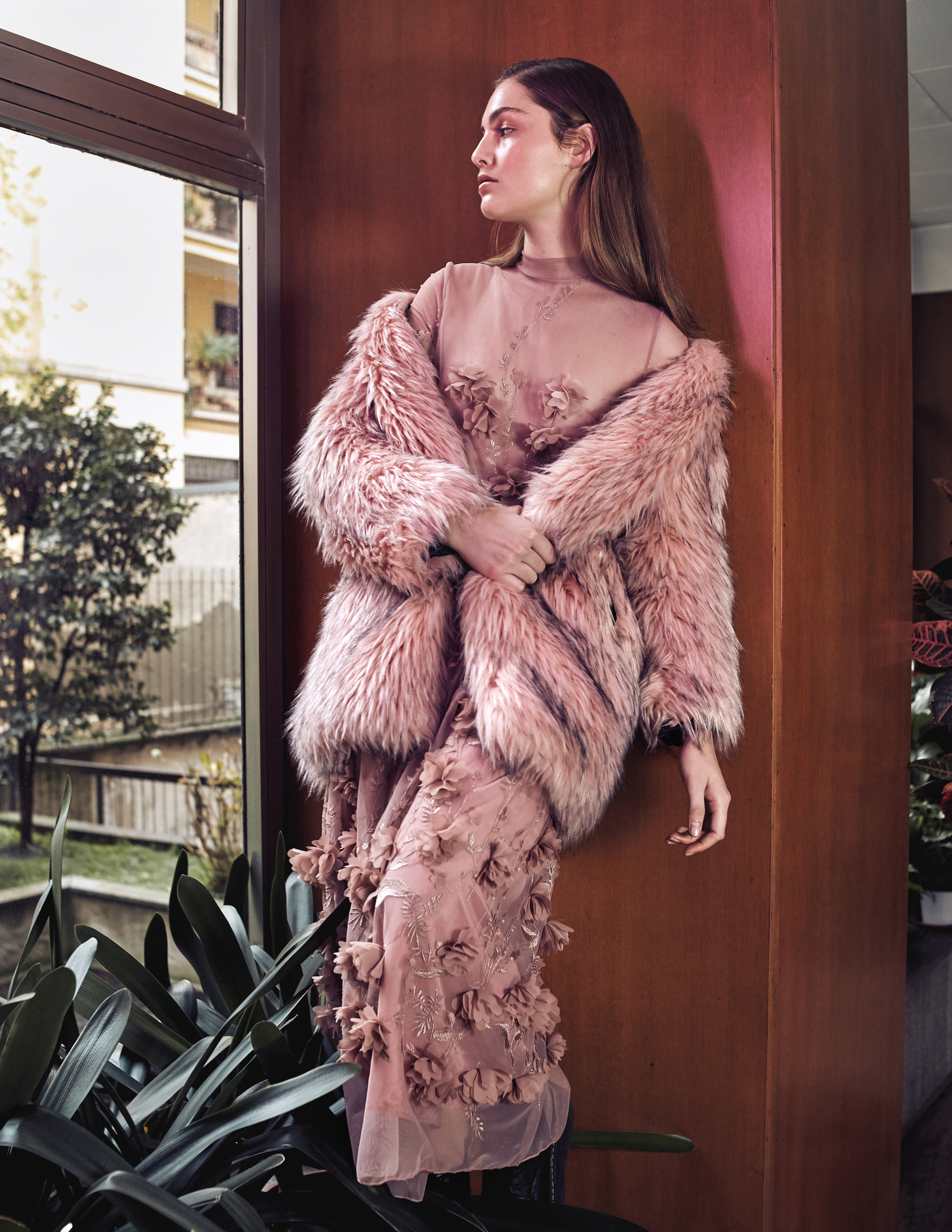 Beyond a shadow of a doubt. VIDEO