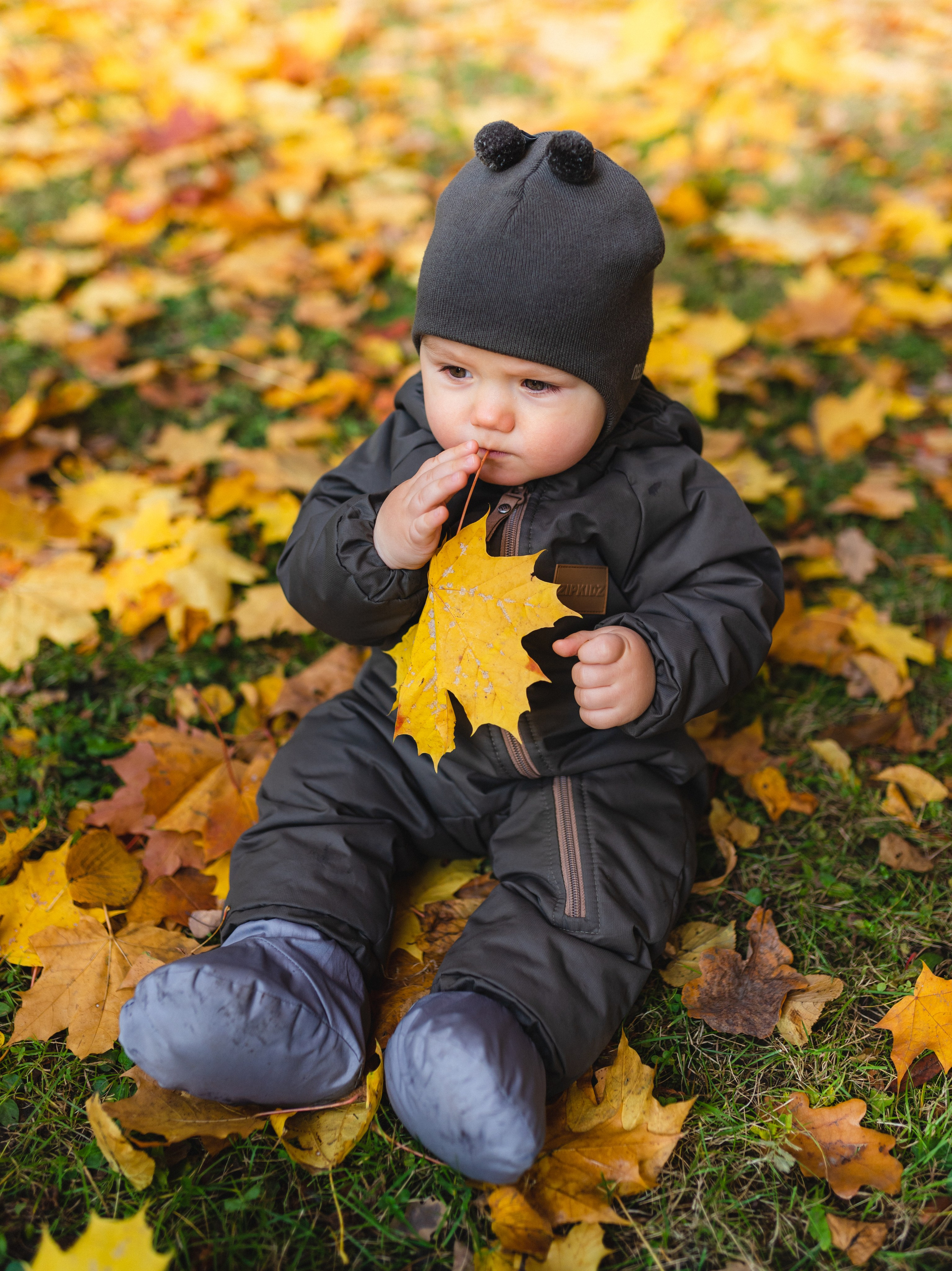 Андрей, Саша и все-все-все