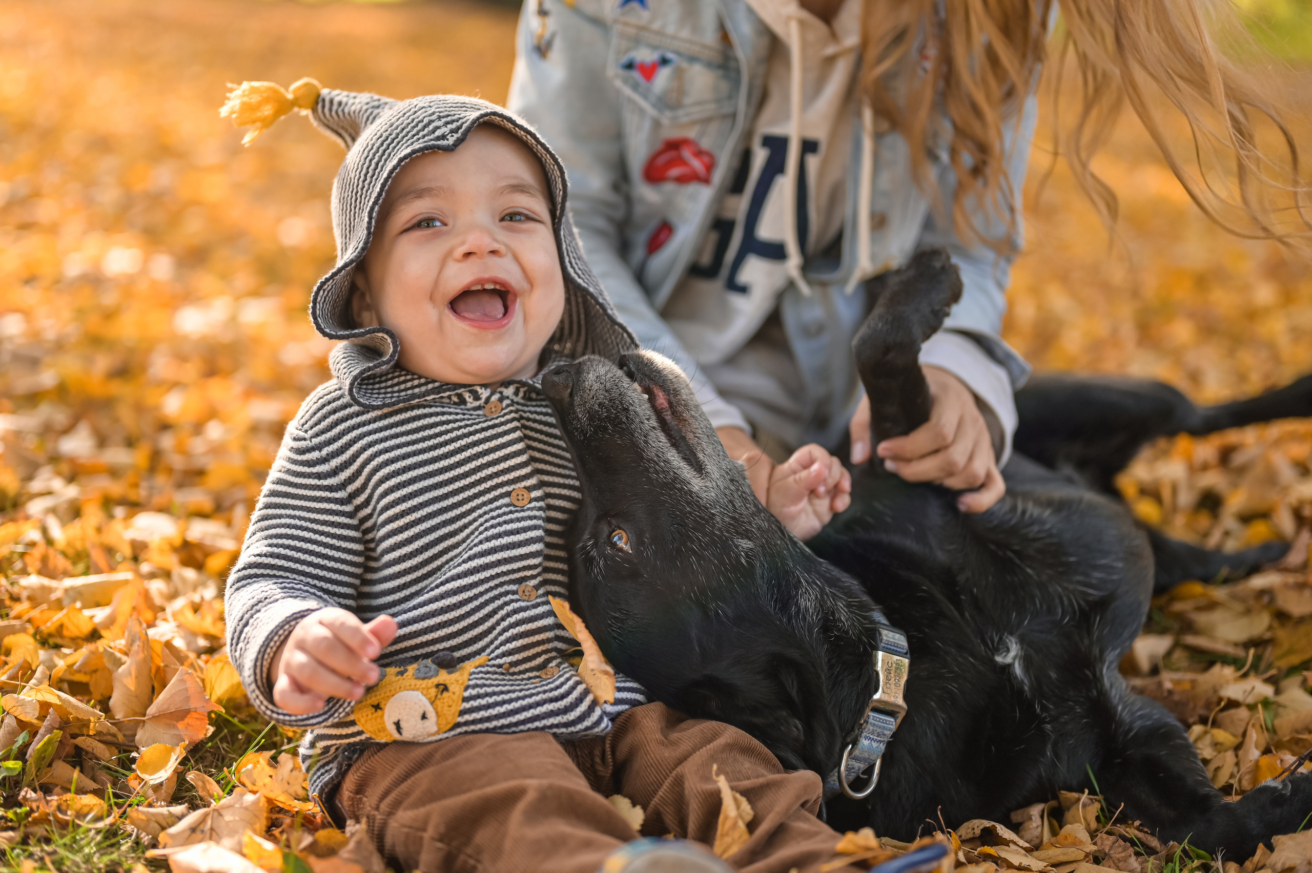 Осенние съемки для вашей семьи. ZDARONOKIA Репортажный фотограф