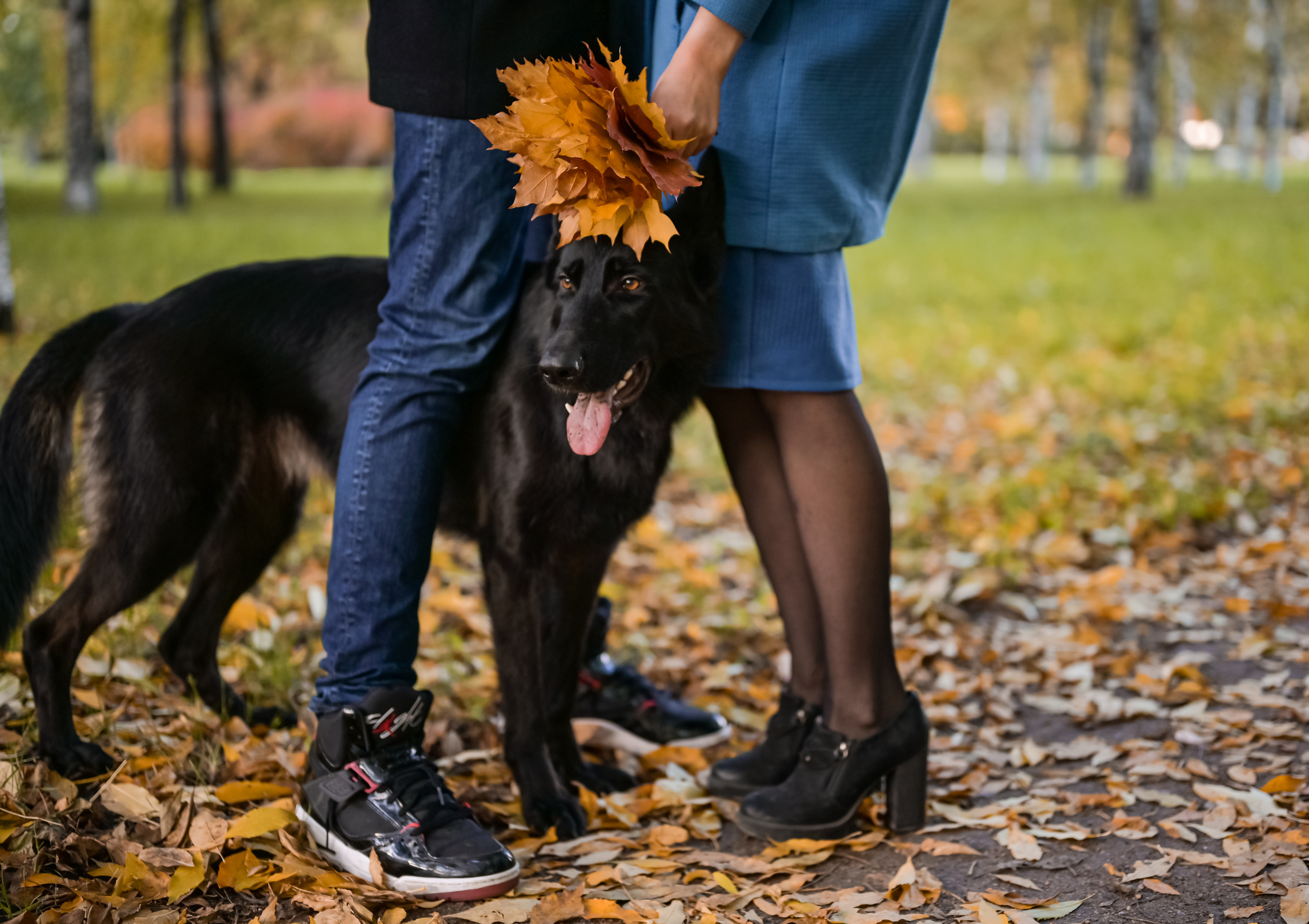 Осенние съемки для вашей семьи. ZDARONOKIA Репортажный фотограф