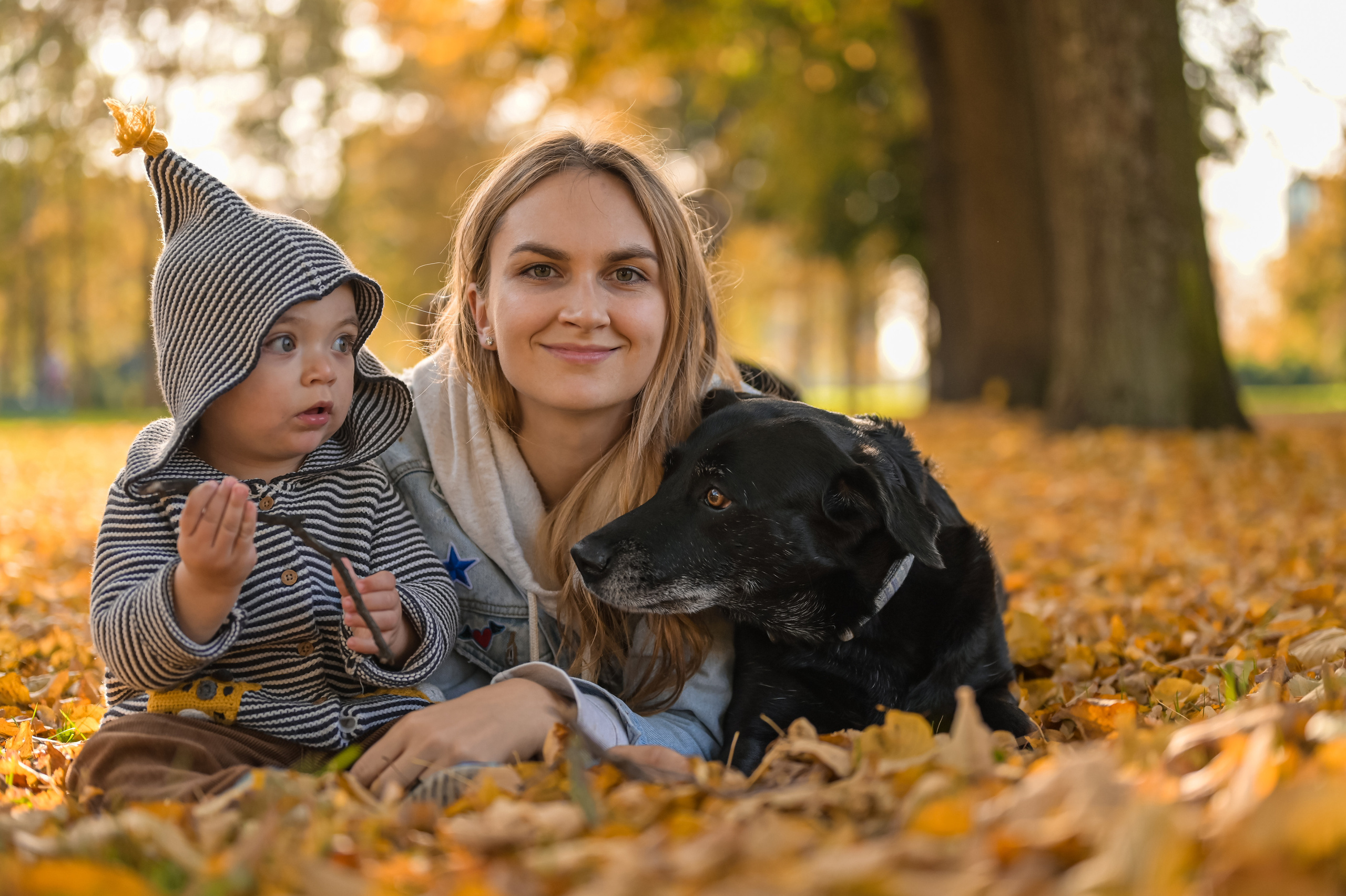 Осенние съемки для вашей семьи. ZDARONOKIA Репортажный фотограф