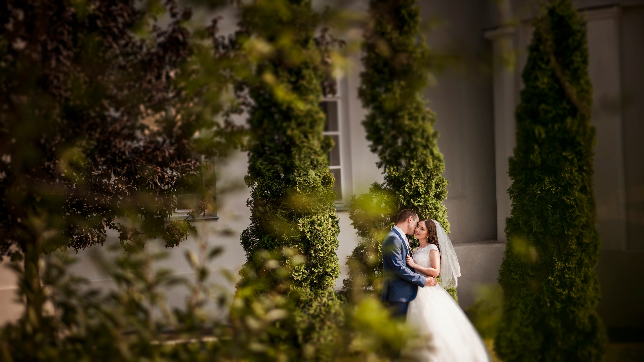 Свадебная Фотосессия в г. казани | Фотограф на Свадьбу в г. Казани Фотограф Садег Азарми тел. +79172288430 ✔ Сборы невесты и жениха✔ Утро невесты (детали, эмоции, подготовка)✔ Репортажная съёмка ЗАГСа и выездной регистрации✔ Свадебная прогулка✔ Фотосъёмка банкета и вечеринки✔ Креативные и тематические свадьбы✔ Свадьба на природе (лайфстайл)✔ Девичники и мальчишники