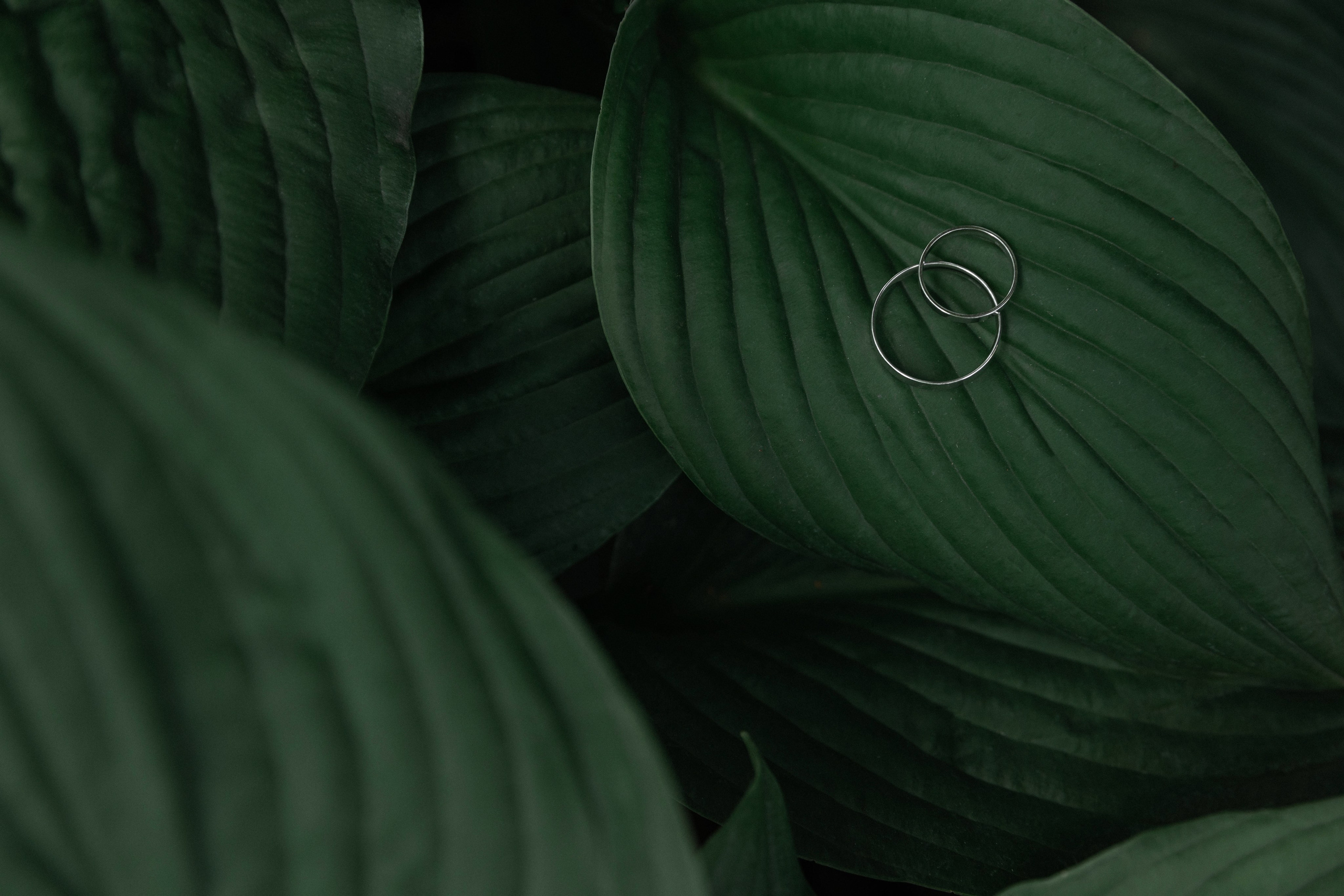 Свадебный и портретный фотограф в Воронеже Алфёрова Оксана