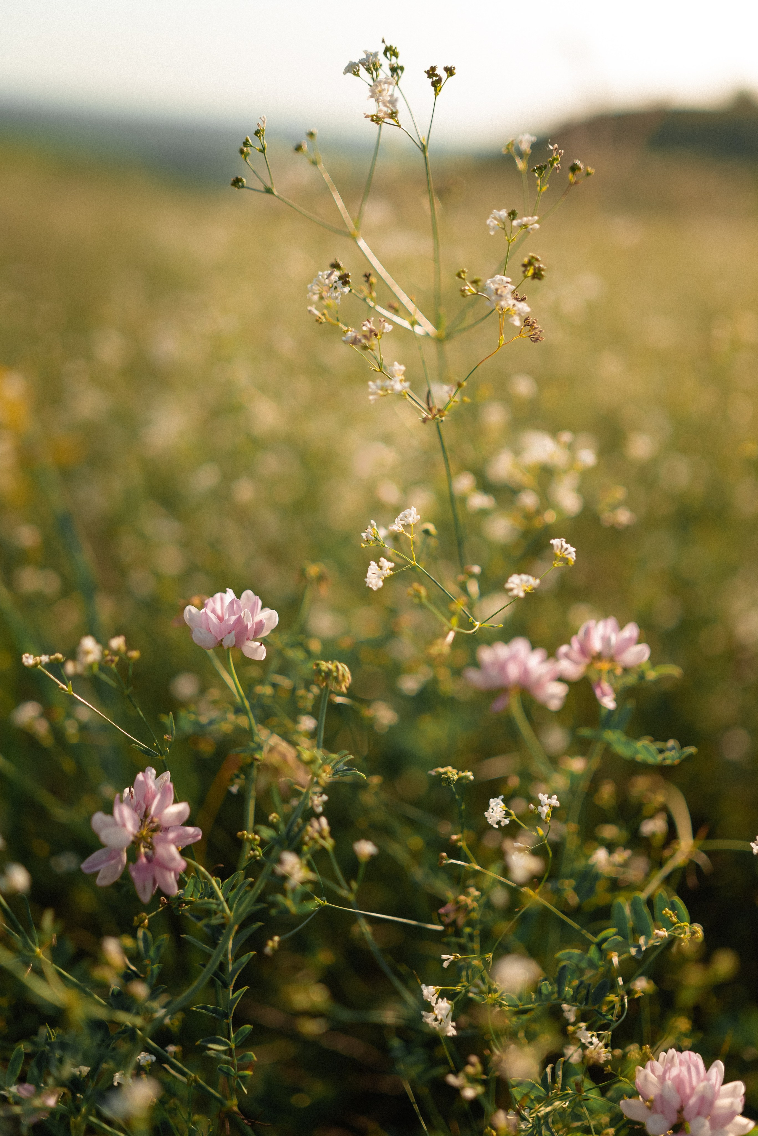 Только любовь. Свадебный фотограф Евгения Наумовец
