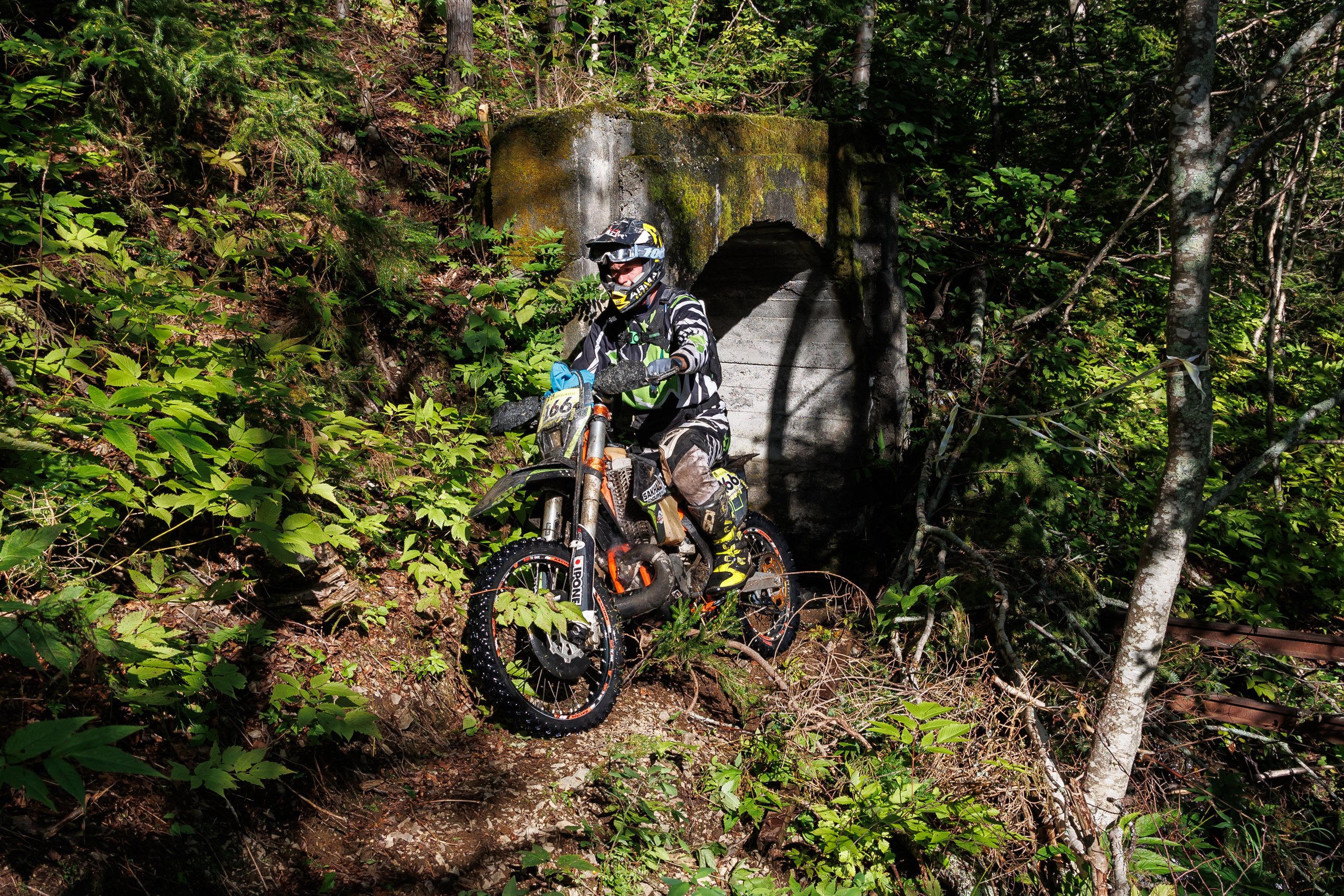 NPR-Сахалин-2022. Свадебный, семейный и репортажный фотограф в Южно-Сахалинске Артур Петросян