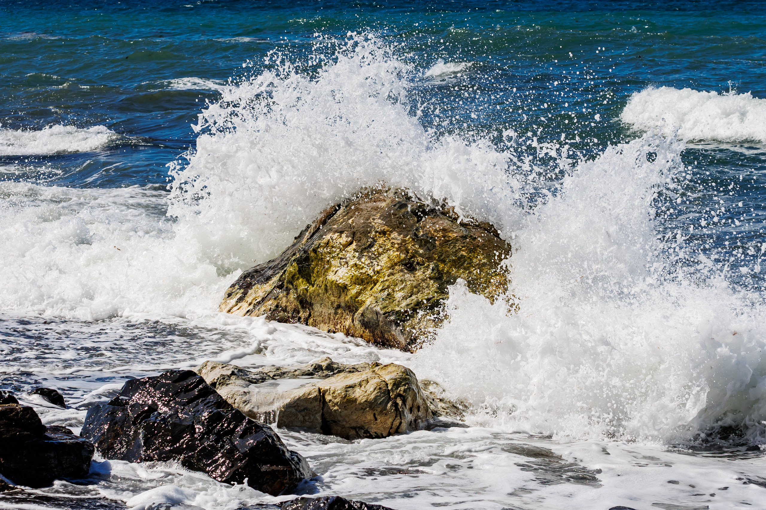 NPR-Сахалин-2022. Свадебный, семейный и репортажный фотограф в Южно-Сахалинске Артур Петросян