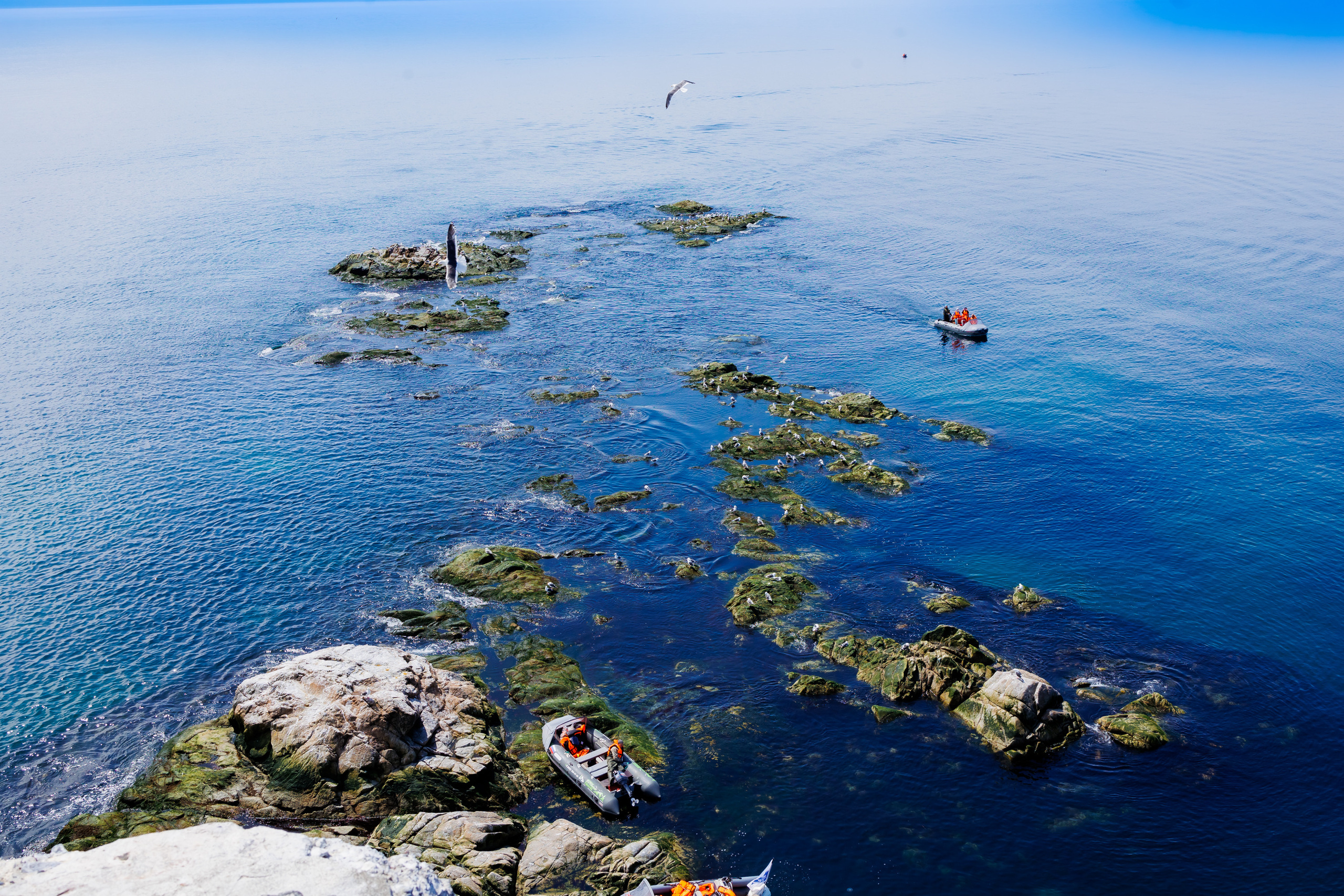 Маяк Анива. Свадебный, семейный и репортажный фотограф в Южно-Сахалинске Артур Петросян