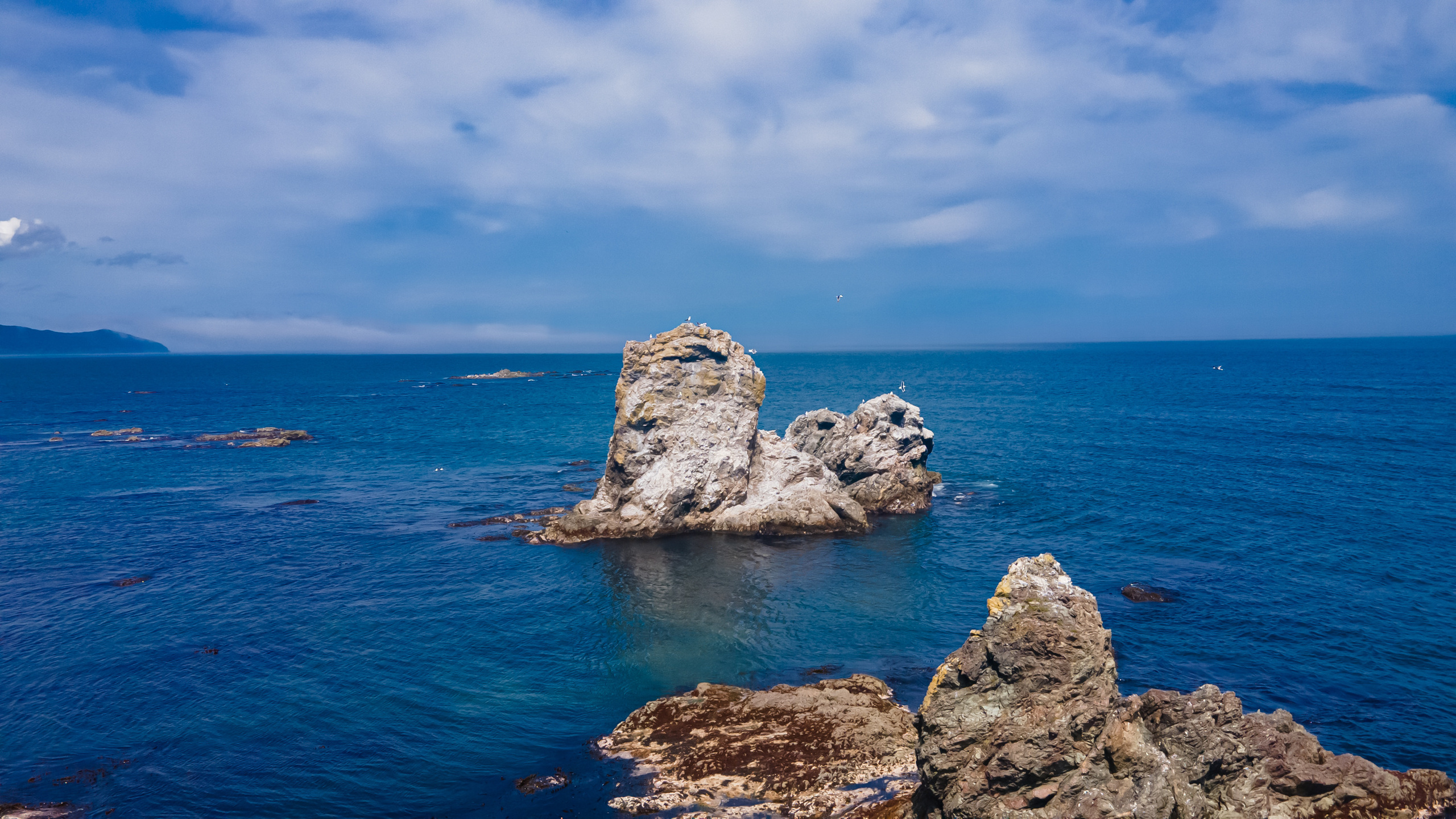 Мыс Великан. Свадебный, семейный и репортажный фотограф в Южно-Сахалинске Артур Петросян