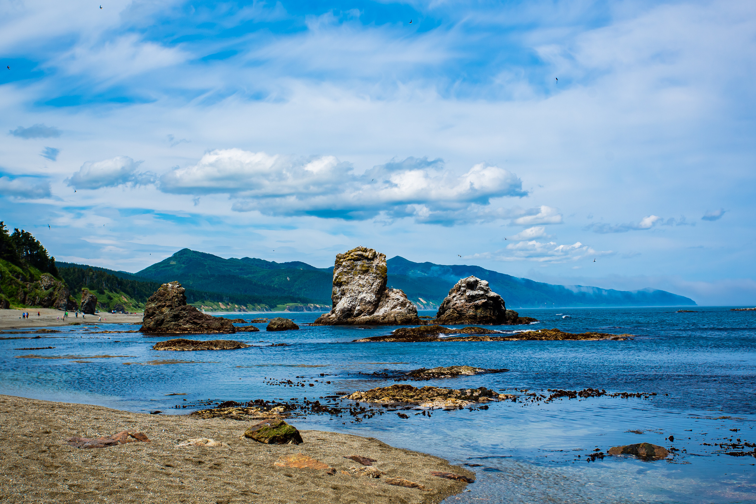 Мыс Великан. Свадебный, семейный и репортажный фотограф в Южно-Сахалинске Артур Петросян