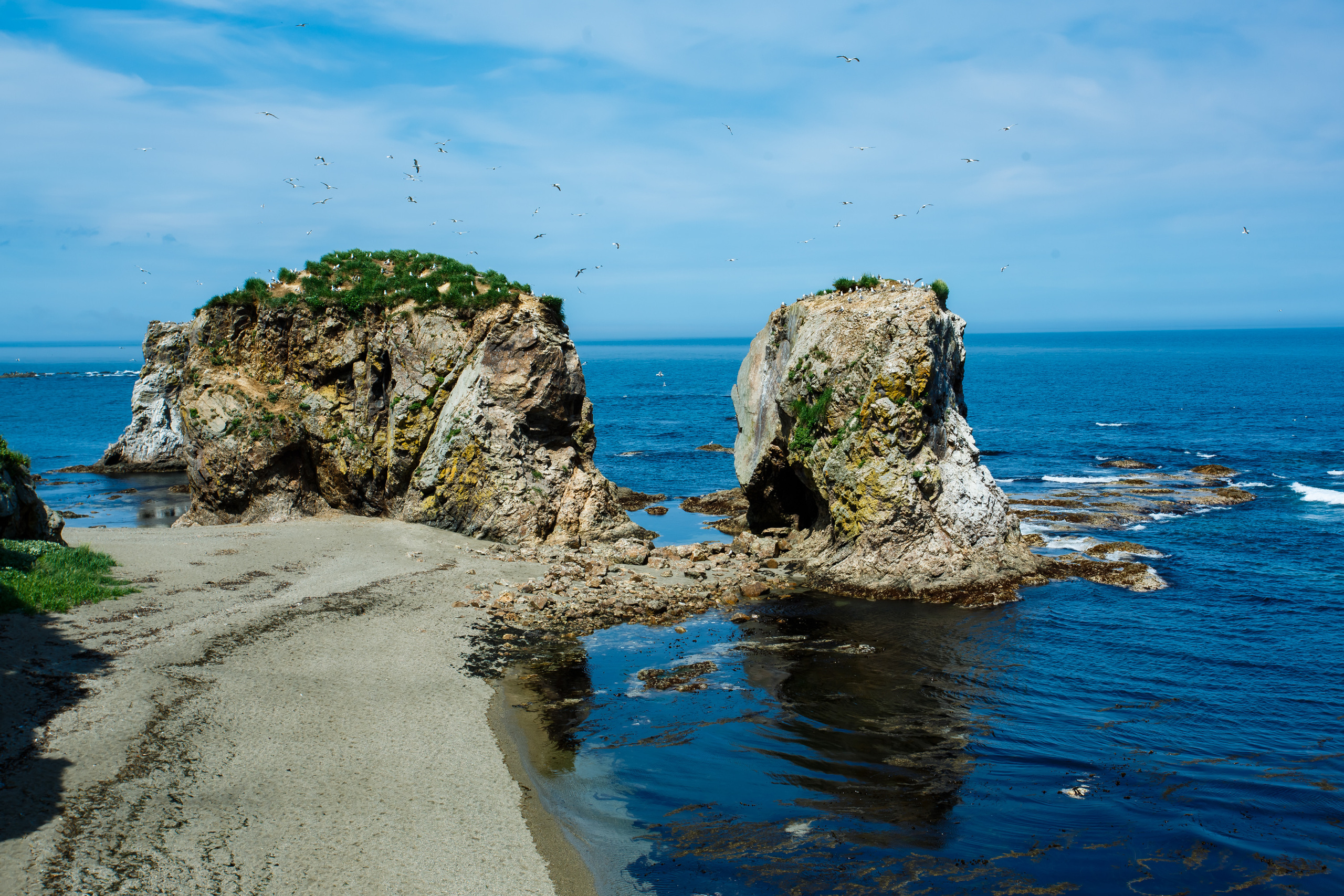 Мыс Великан. Свадебный, семейный и репортажный фотограф в Южно-Сахалинске Артур Петросян