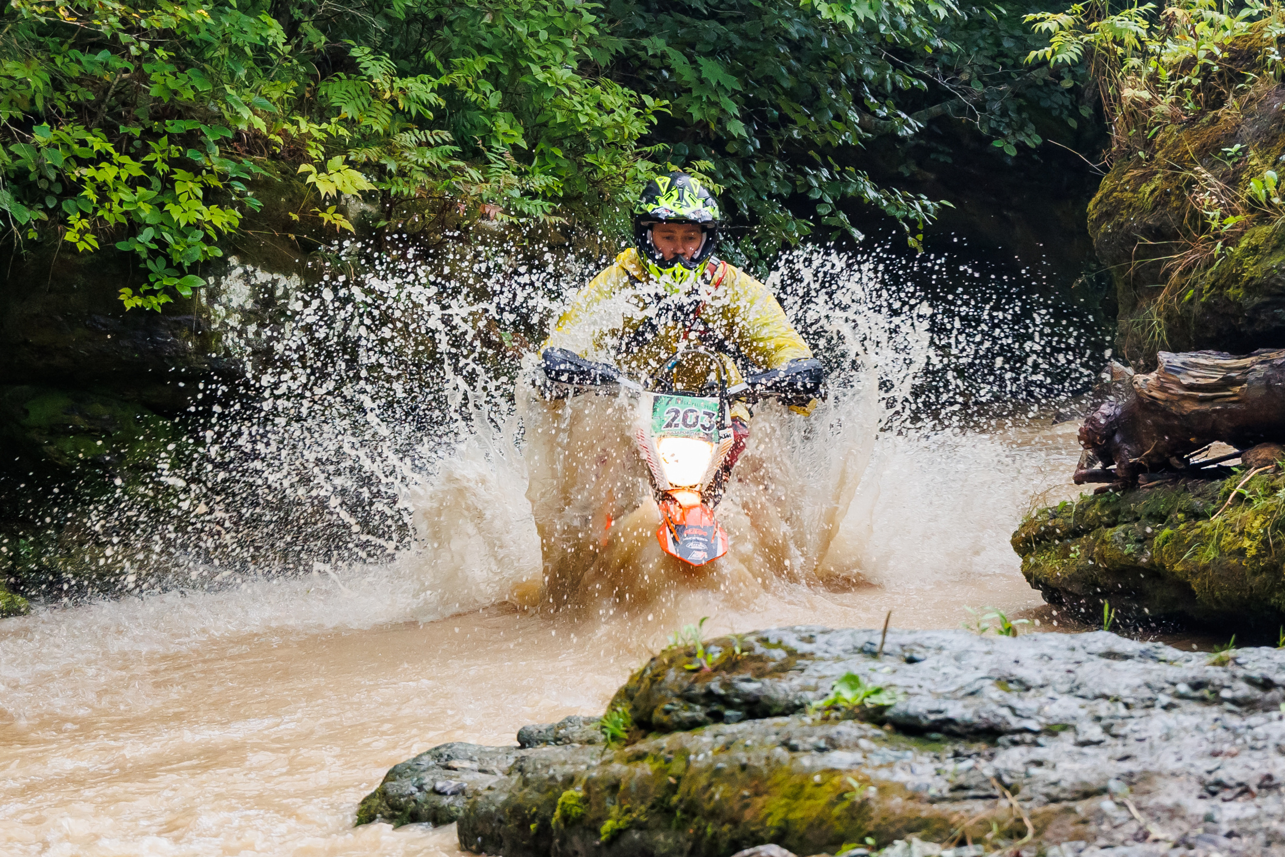 NPR-Сахалин-2022. Свадебный, семейный и репортажный фотограф в Южно-Сахалинске Артур Петросян