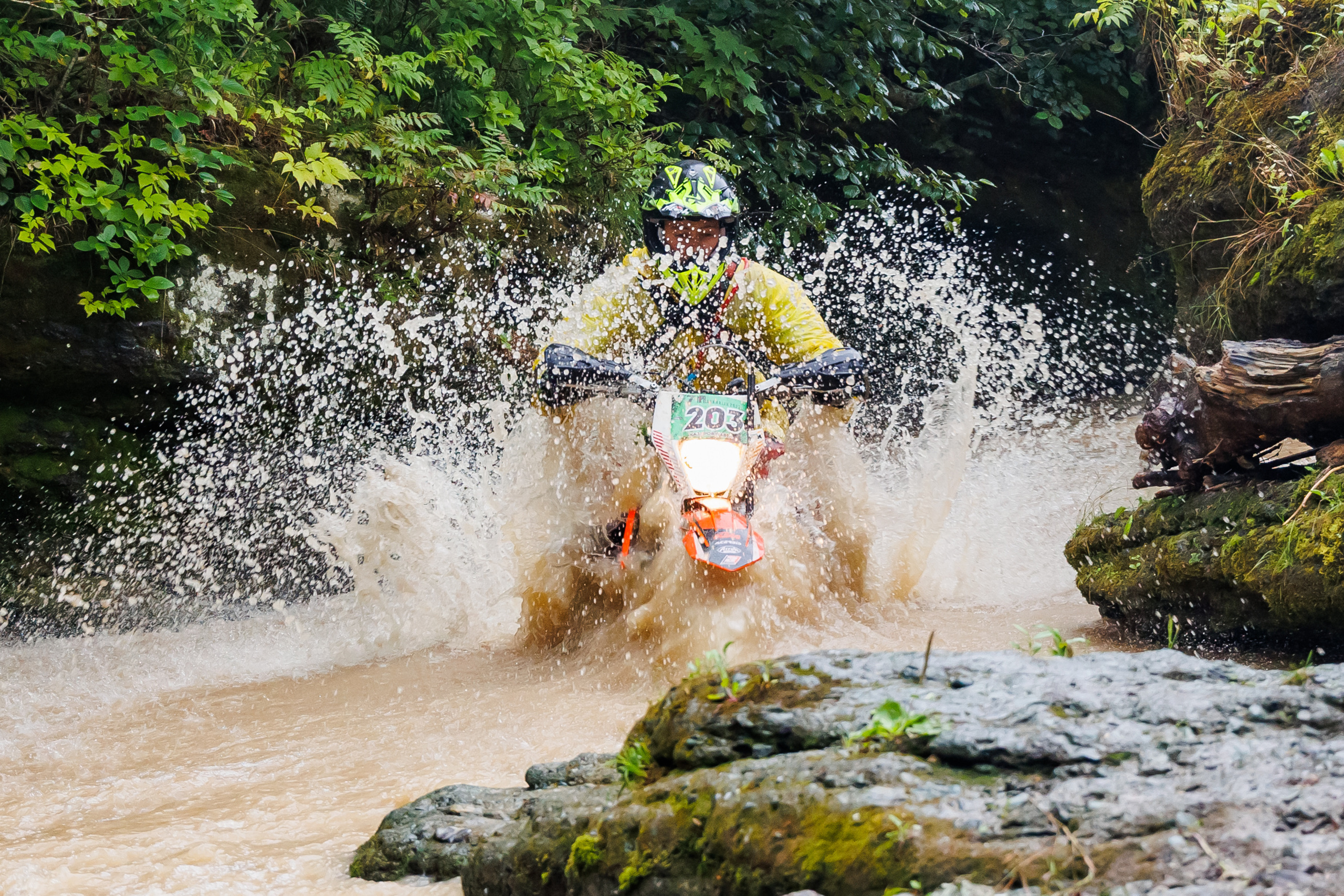 NPR-Сахалин-2022. Свадебный, семейный и репортажный фотограф в Южно-Сахалинске Артур Петросян