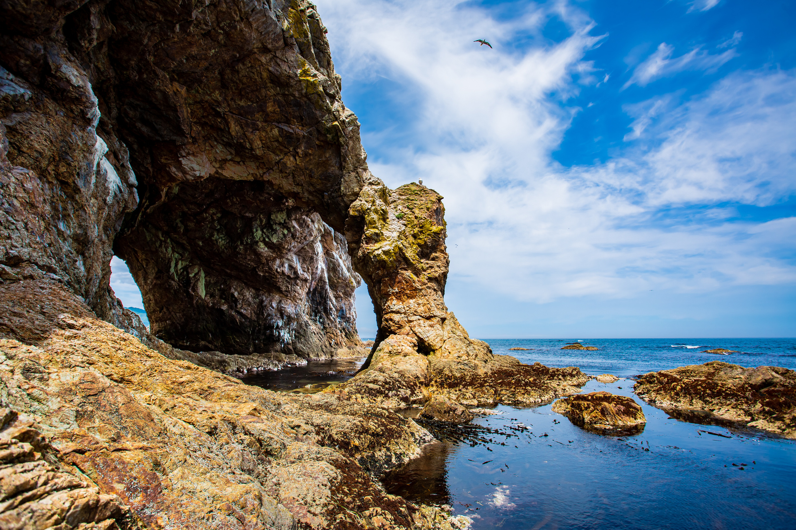 Мыс Великан. Свадебный, семейный и репортажный фотограф в Южно-Сахалинске Артур Петросян