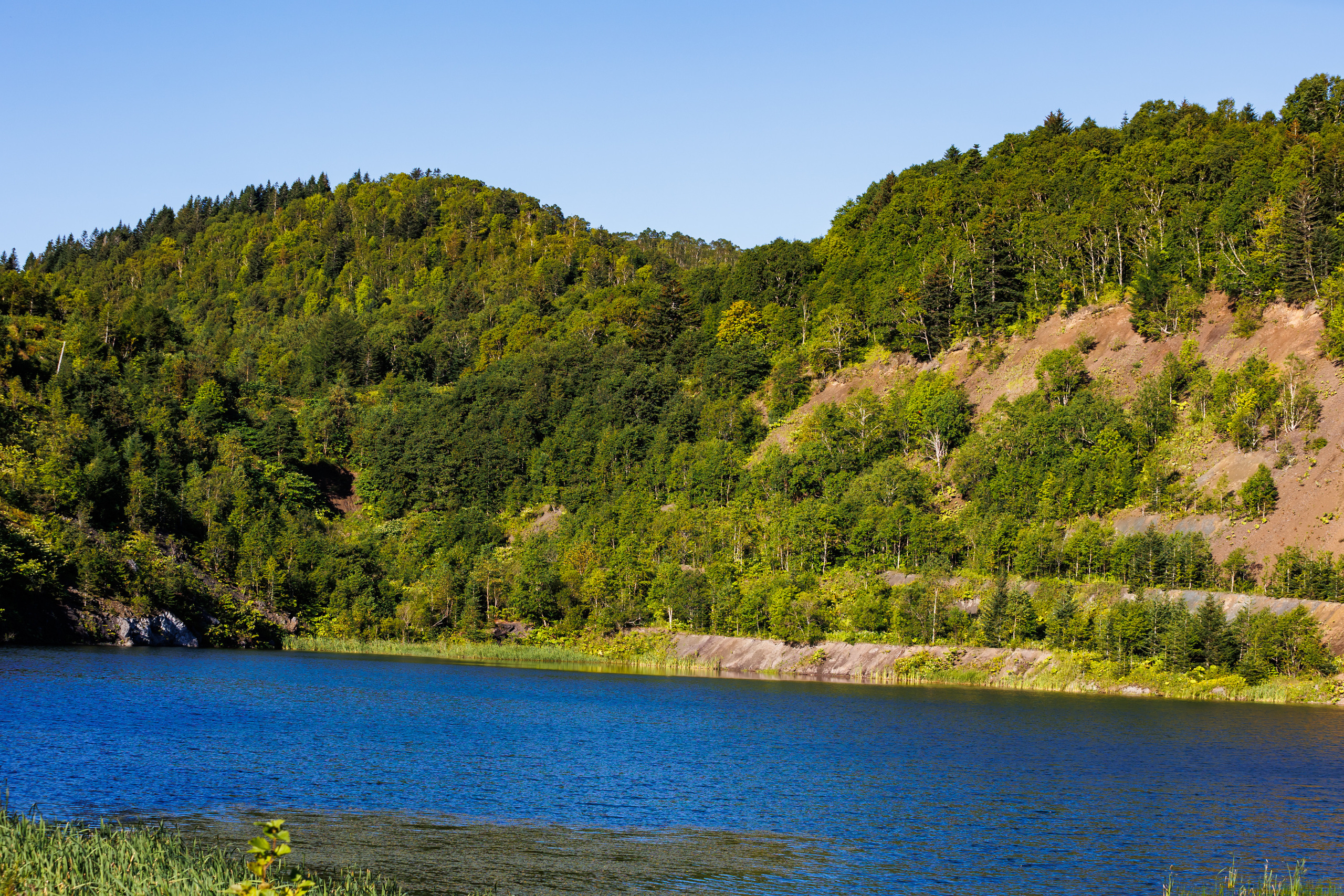 NPR-Сахалин-2022. Свадебный, семейный и репортажный фотограф в Южно-Сахалинске Артур Петросян