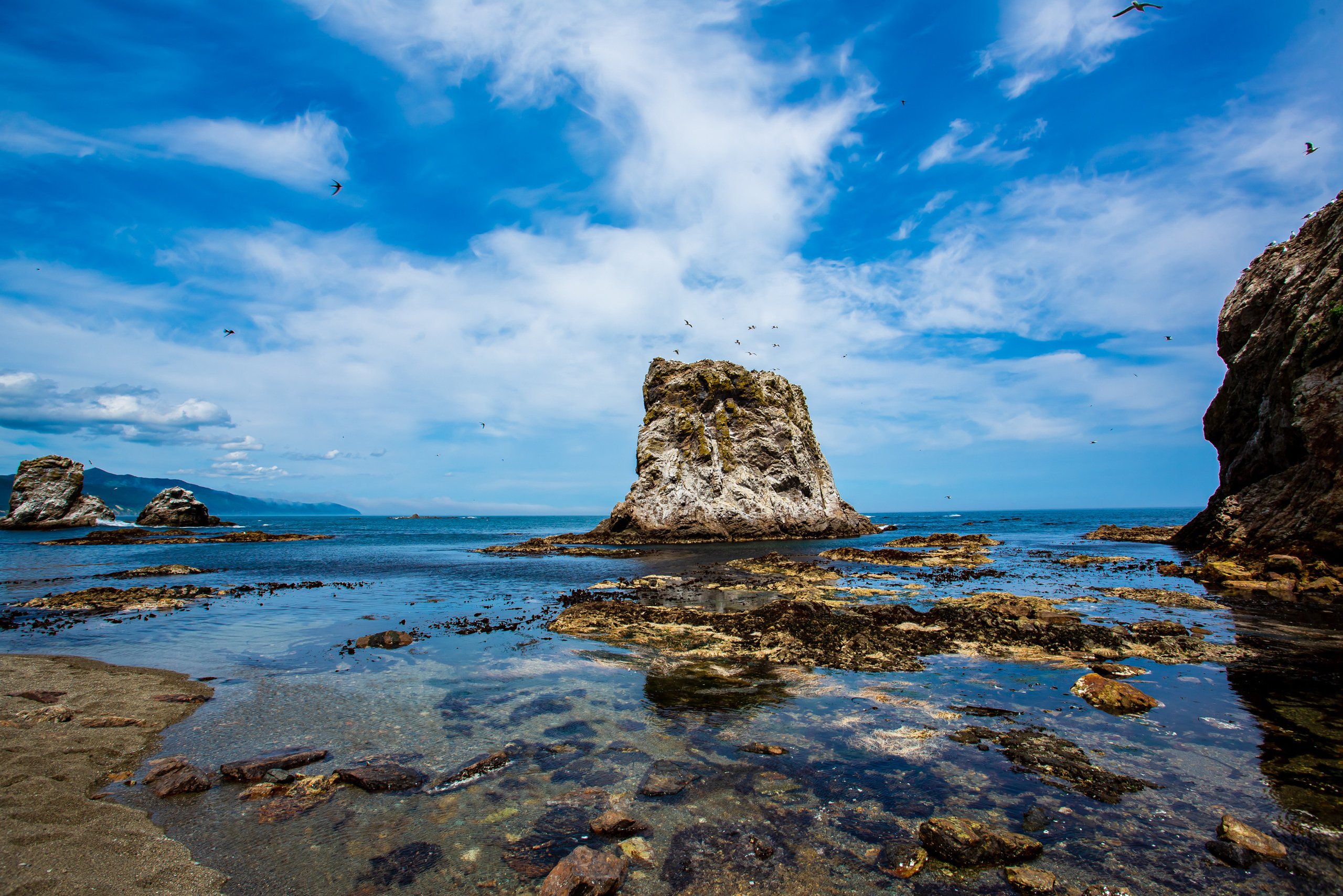 Мыс Великан. Свадебный, семейный и репортажный фотограф в Южно-Сахалинске Артур Петросян