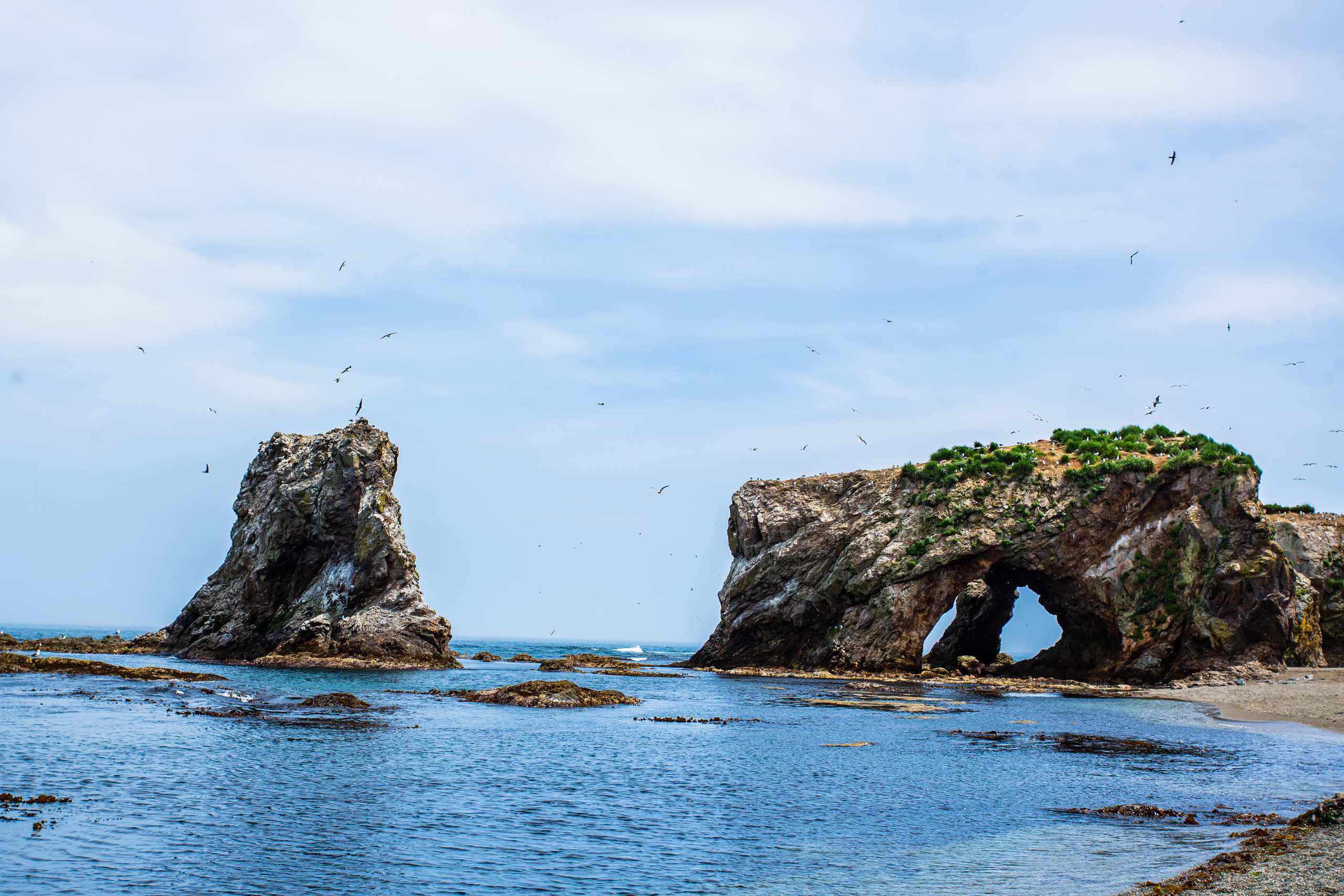 Мыс Великан. Свадебный, семейный и репортажный фотограф в Южно-Сахалинске Артур Петросян