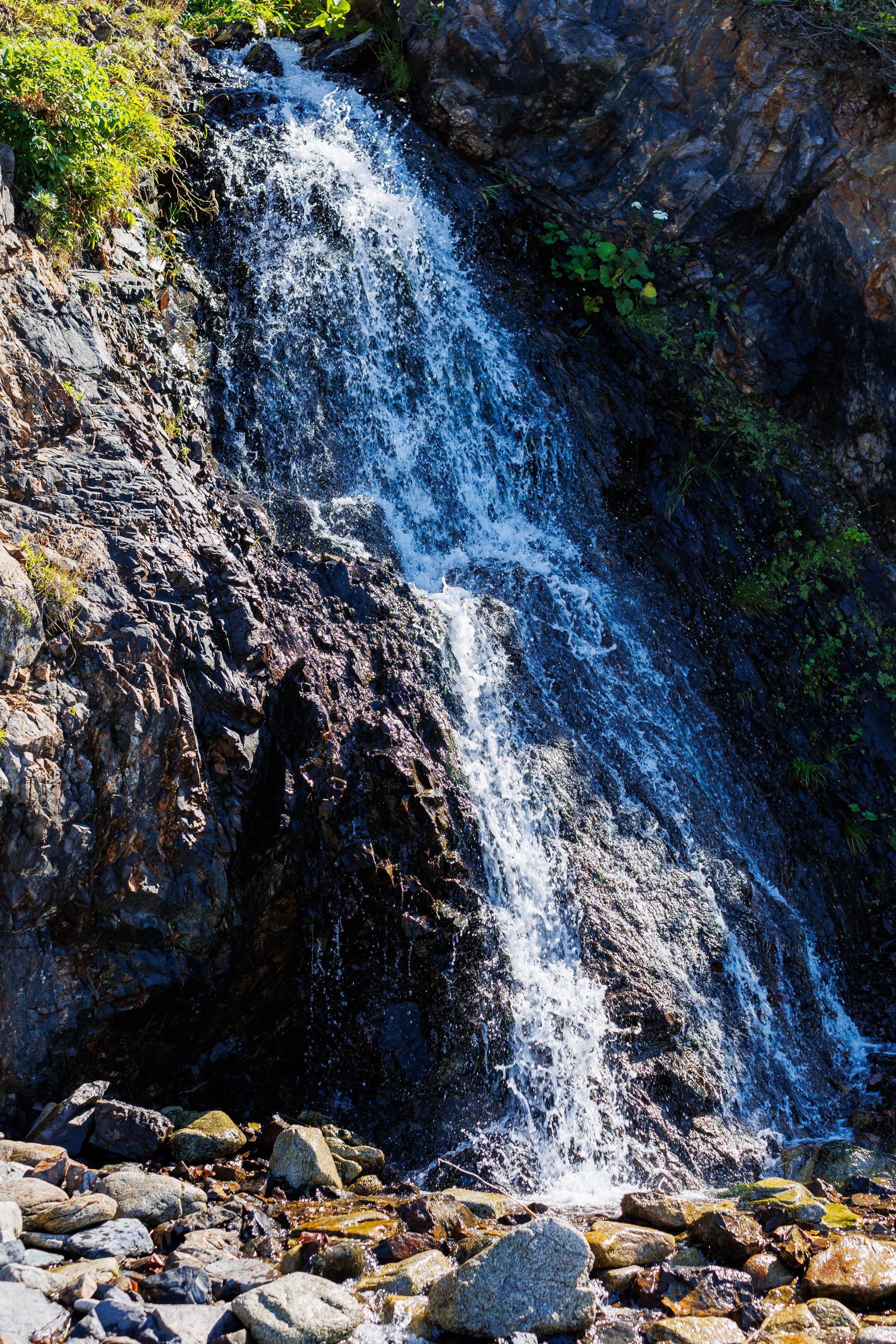 NPR-Сахалин-2022. Свадебный, семейный и репортажный фотограф в Южно-Сахалинске Артур Петросян