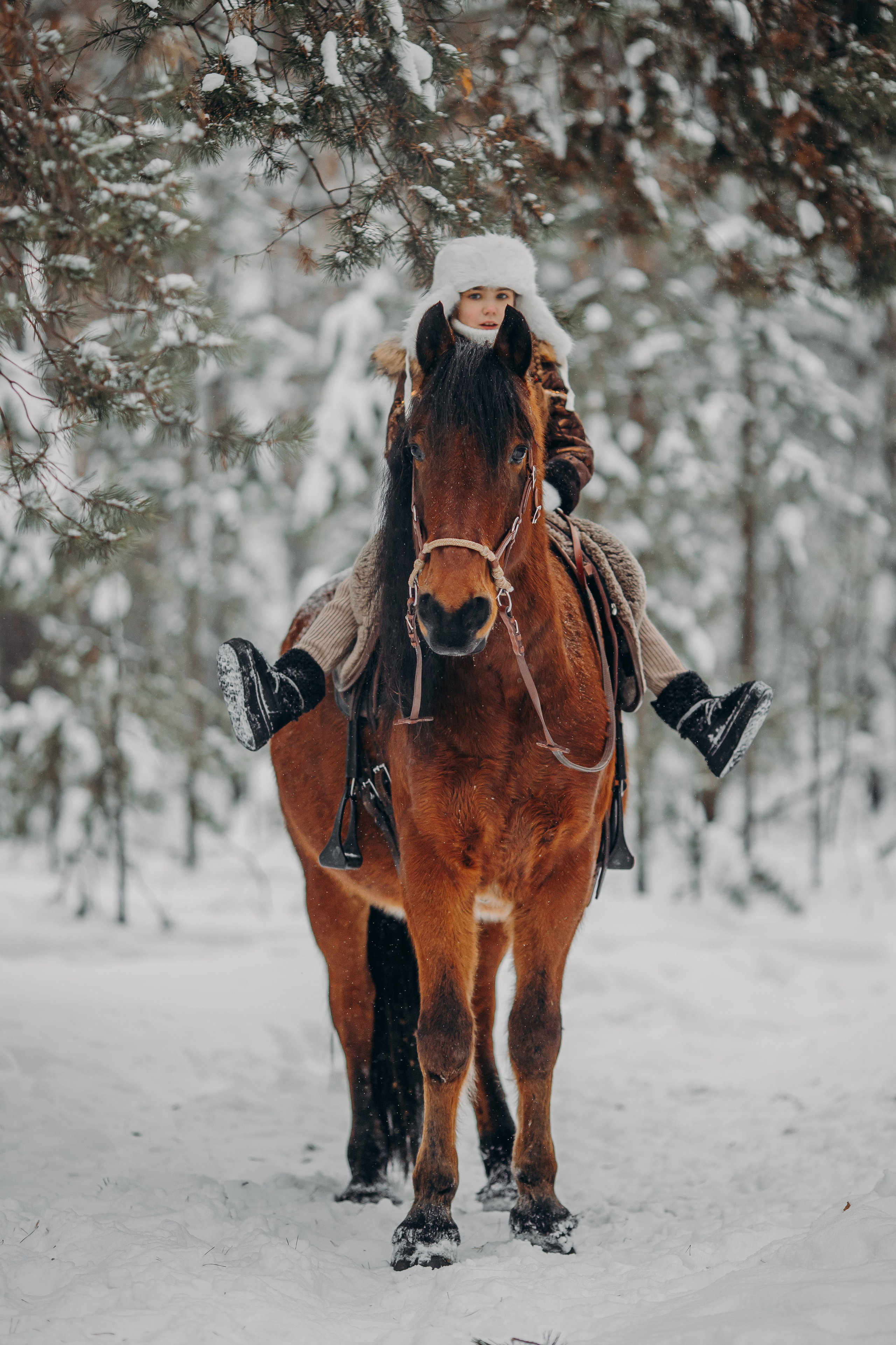 Тоша и баранки. Анна Молчанова конный фотограф в Тюмени | фотосессии с лошадьми Тюмень