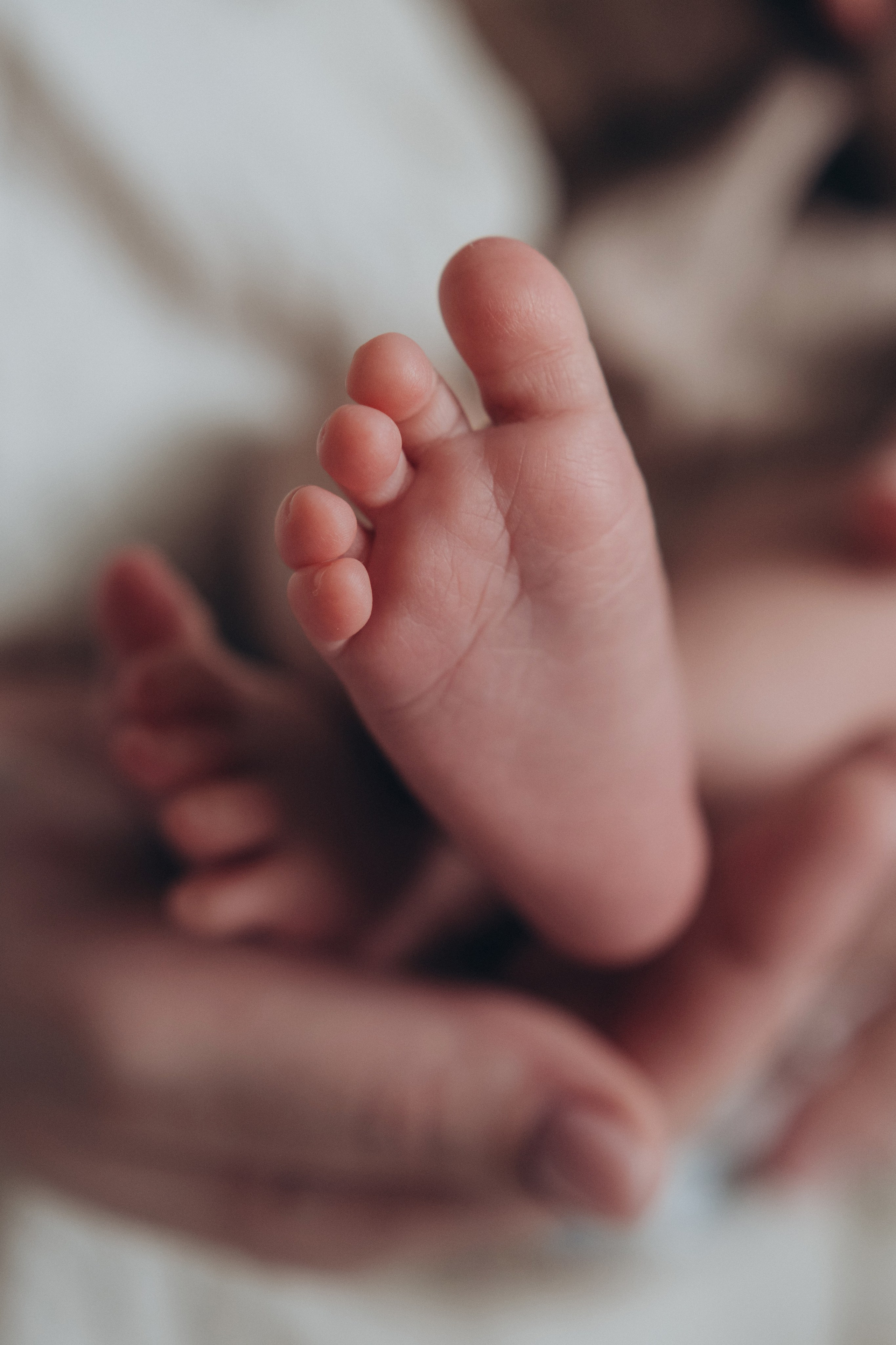 Таисия. Семейный фотограф в Новом Уренгое Алёна Пряженцева