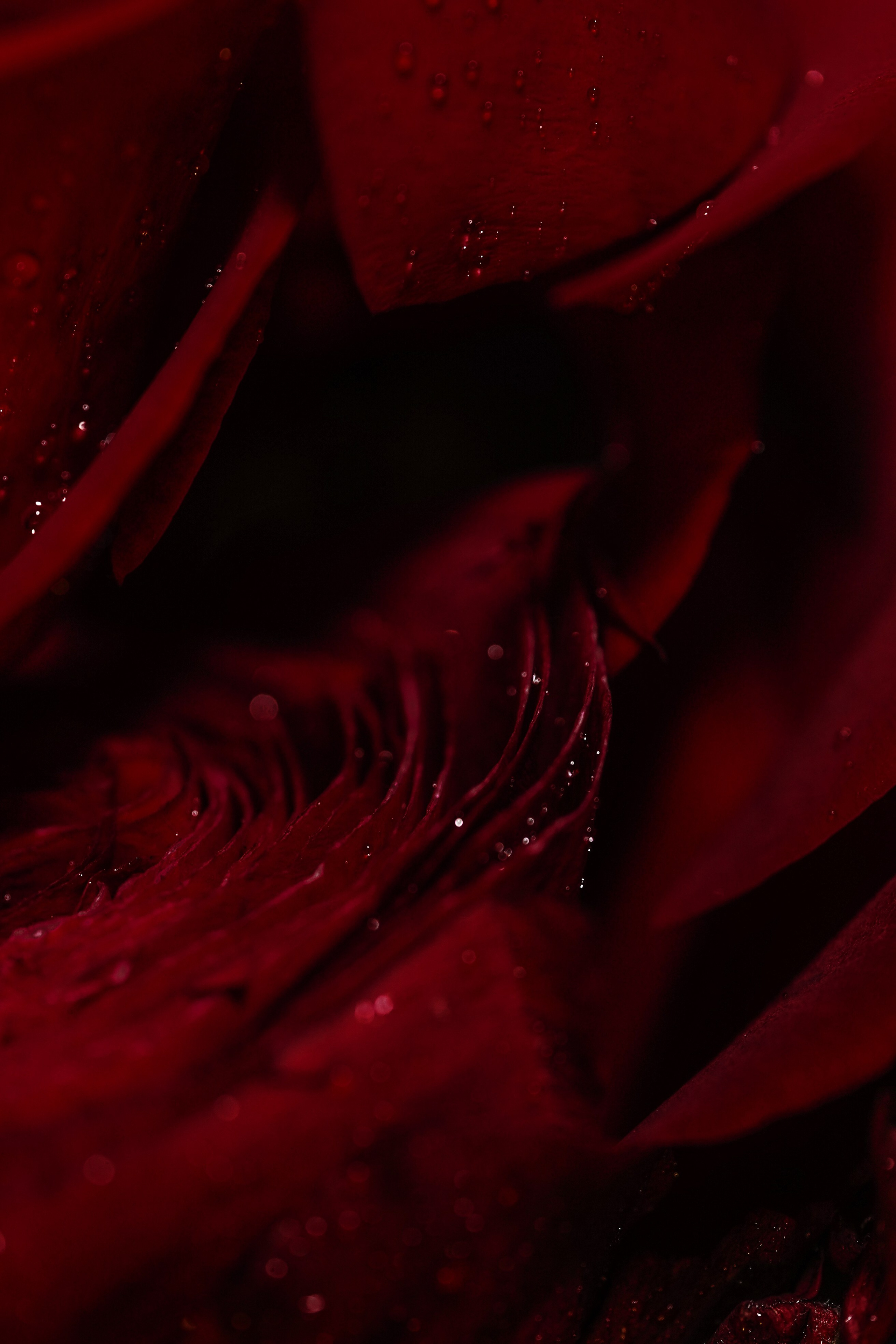 FRAGRANCE. Анна Ульянова