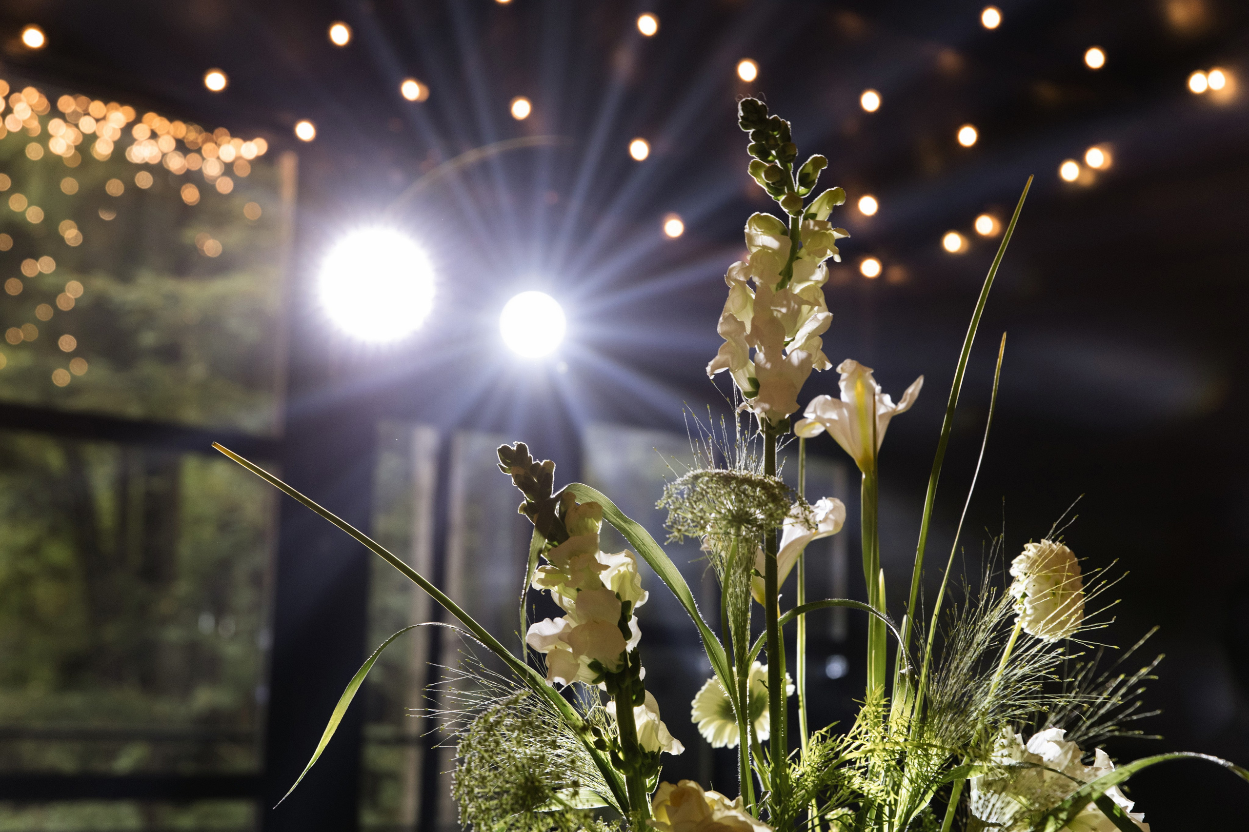 Павел и Арина. Свадебный фотограф Дарья Свет