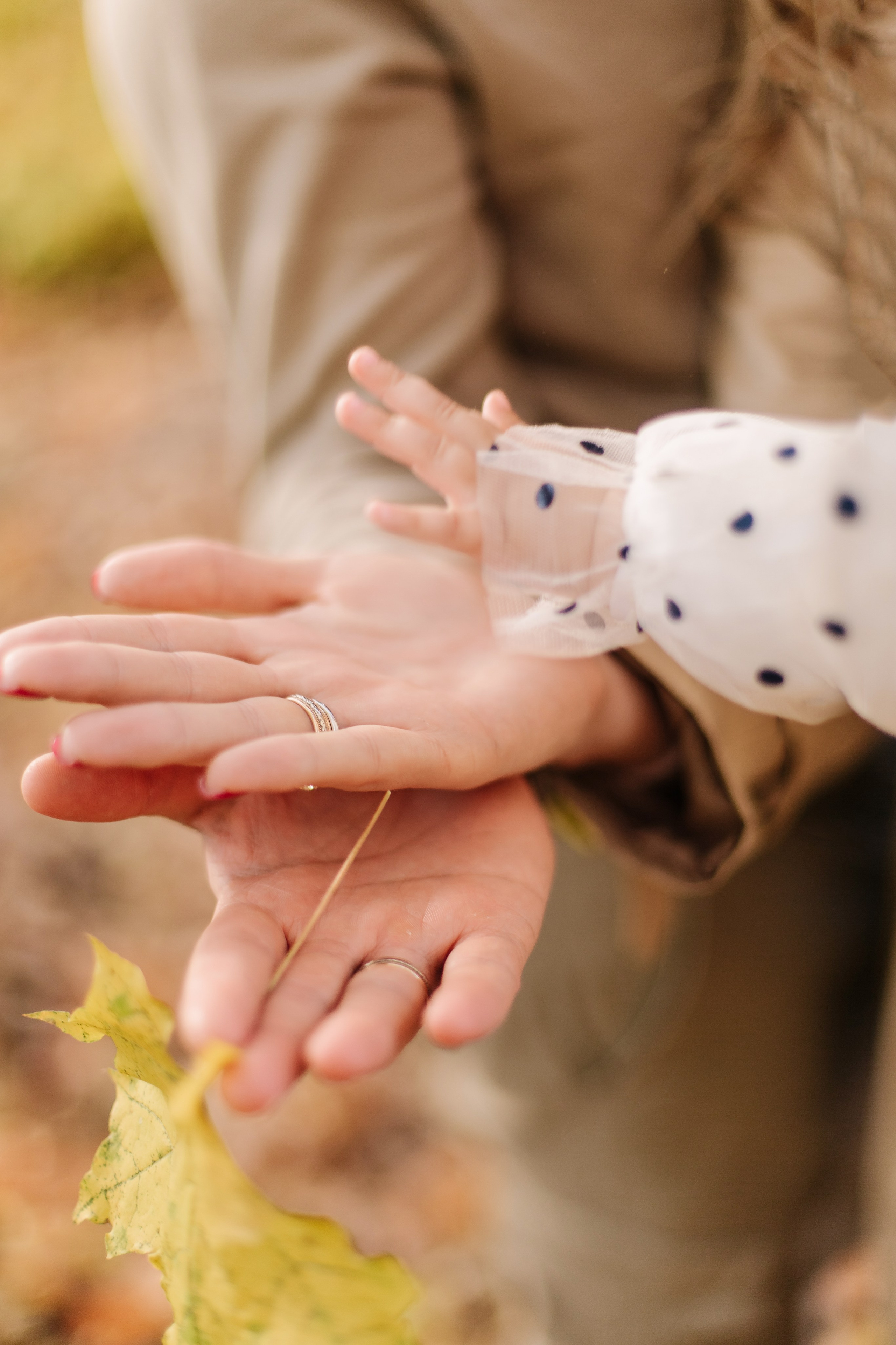Екатерина, Антон и Амелия. Свадебный и семейный фотограф Александра Кос