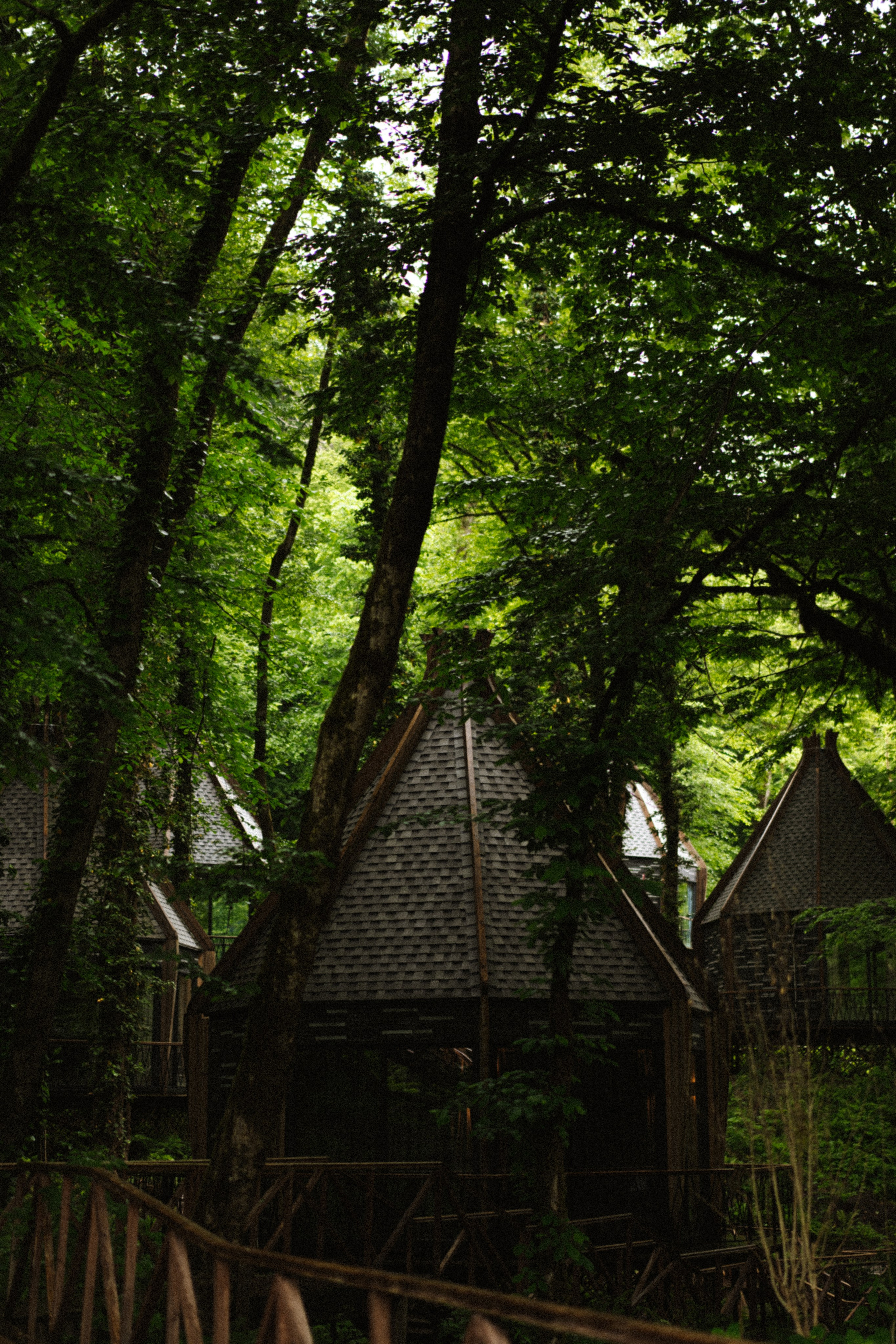 Прячься! Дождь идёт. Сочи. 2024. Никита Погосов