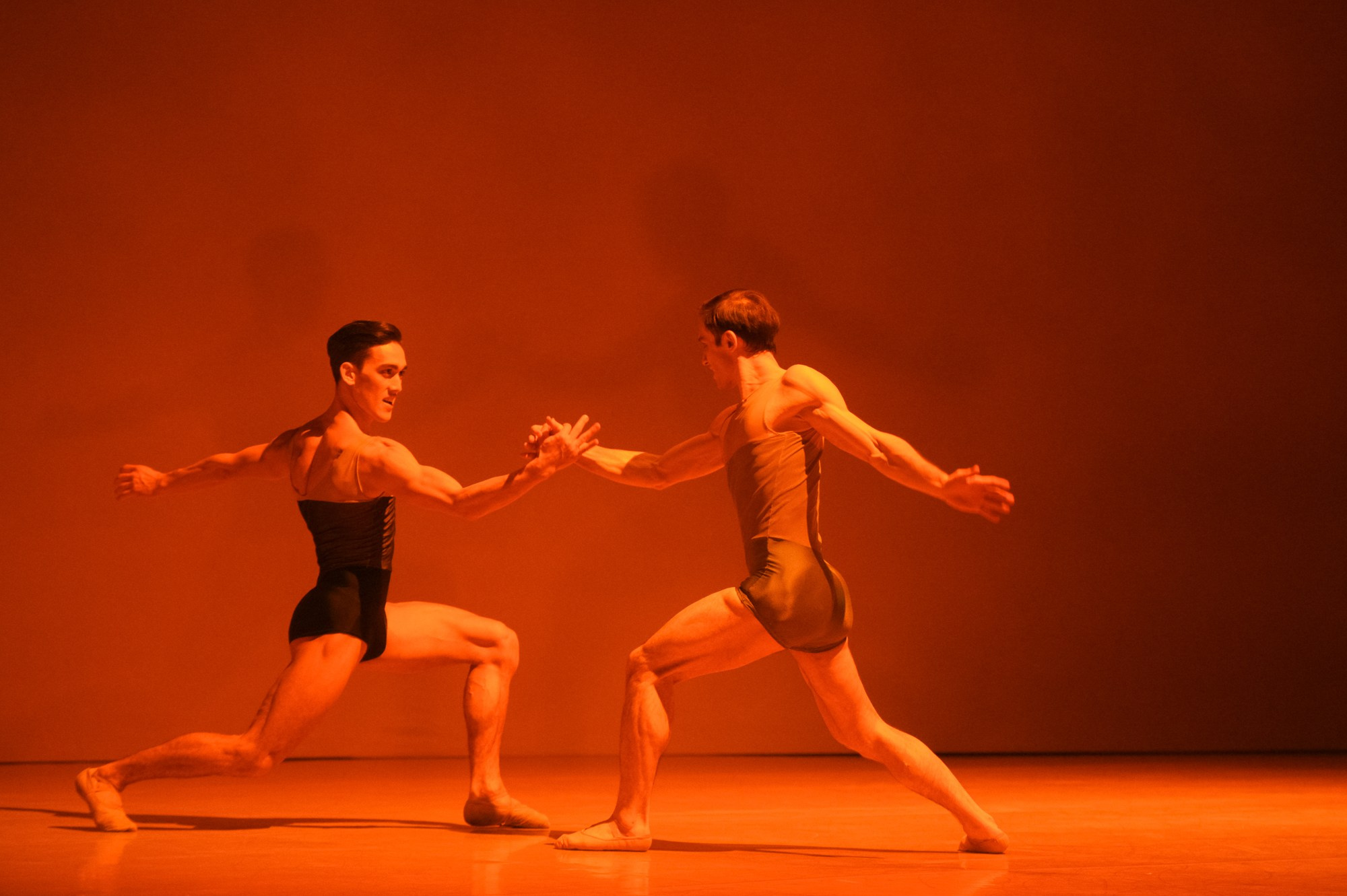 Балет Москва: Транскрипция цвета. Елена Дружинина. Спортивный и репортажный фотограф