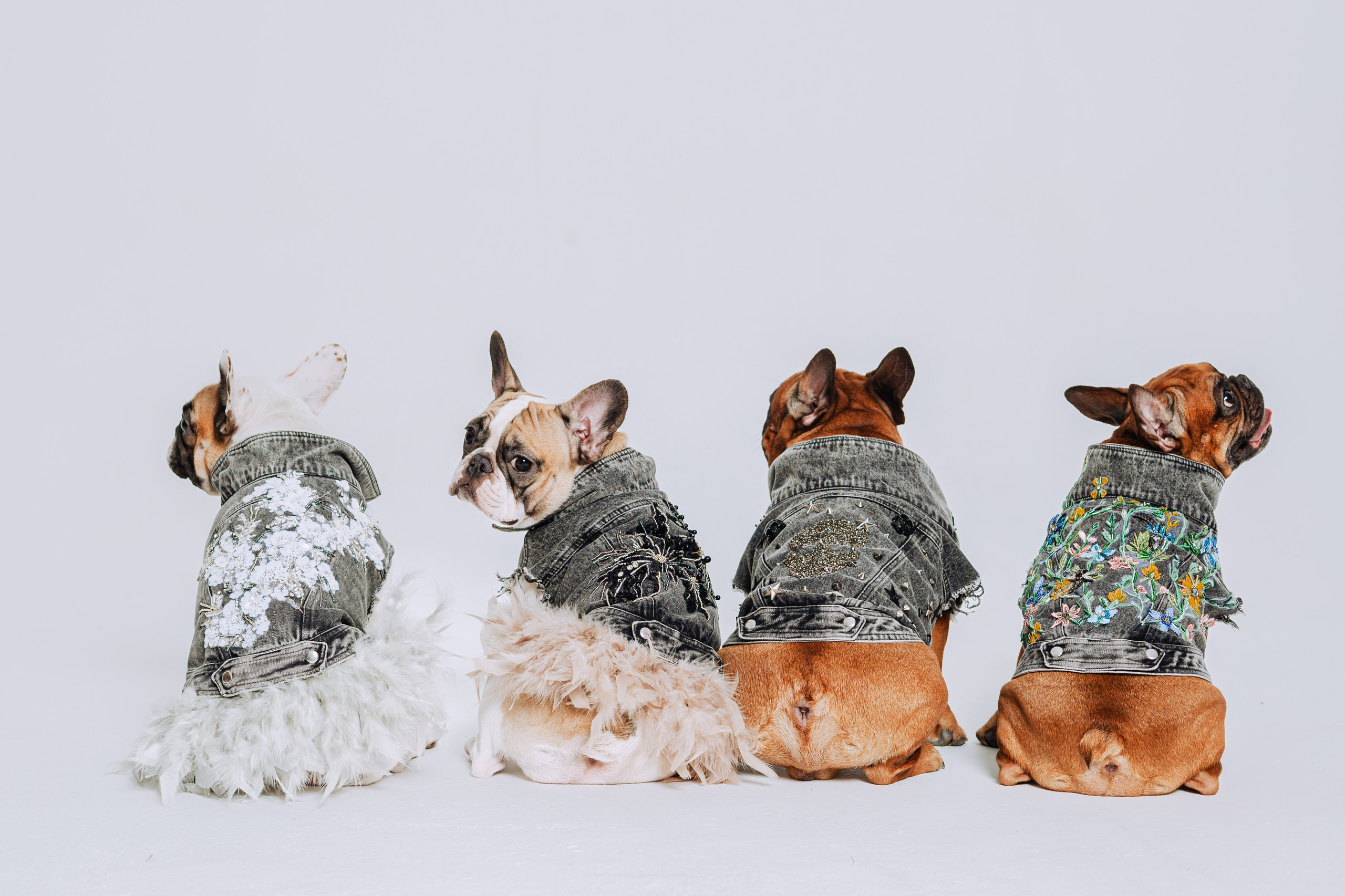 Бульвстреча 2025. Фотограф-анималист Татьяна Степанова