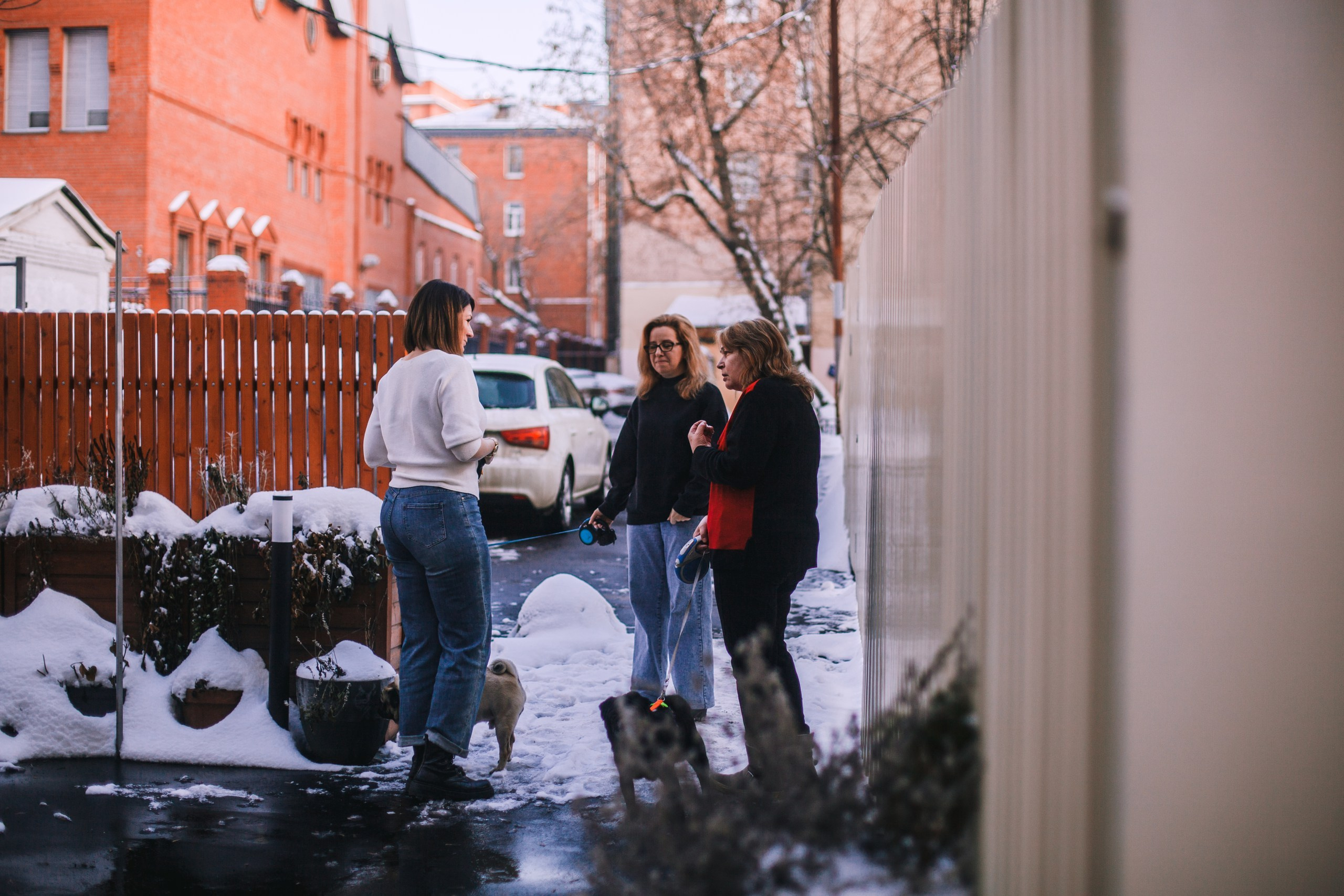 Мопсовстреча 02.12.2023. Фотограф-анималист Татьяна Степанова