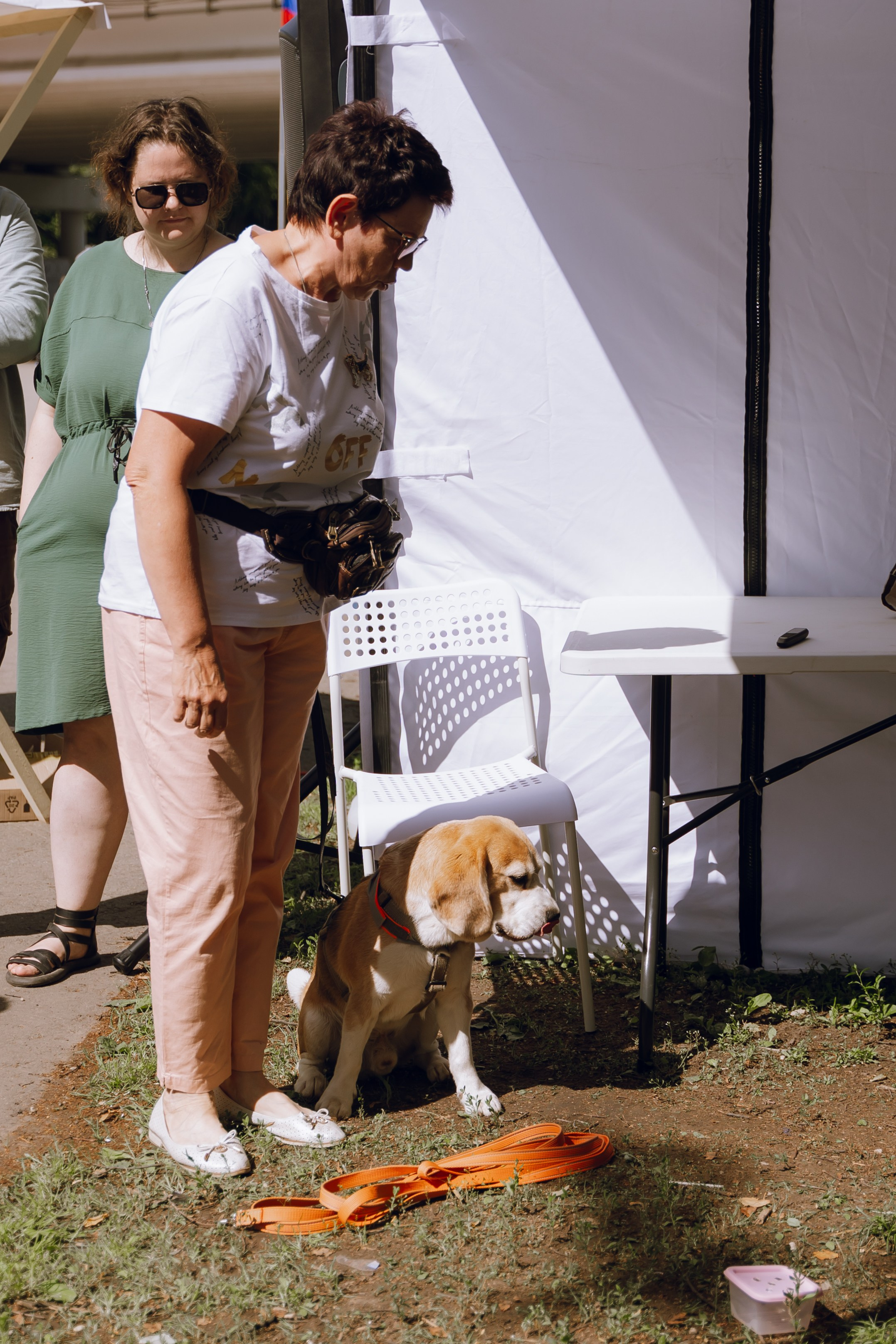 Площадка фестиваля «Мампус и его друзья» в Лесопарке 2025. Фотограф Надежда Погребняк | Рязань | Москва