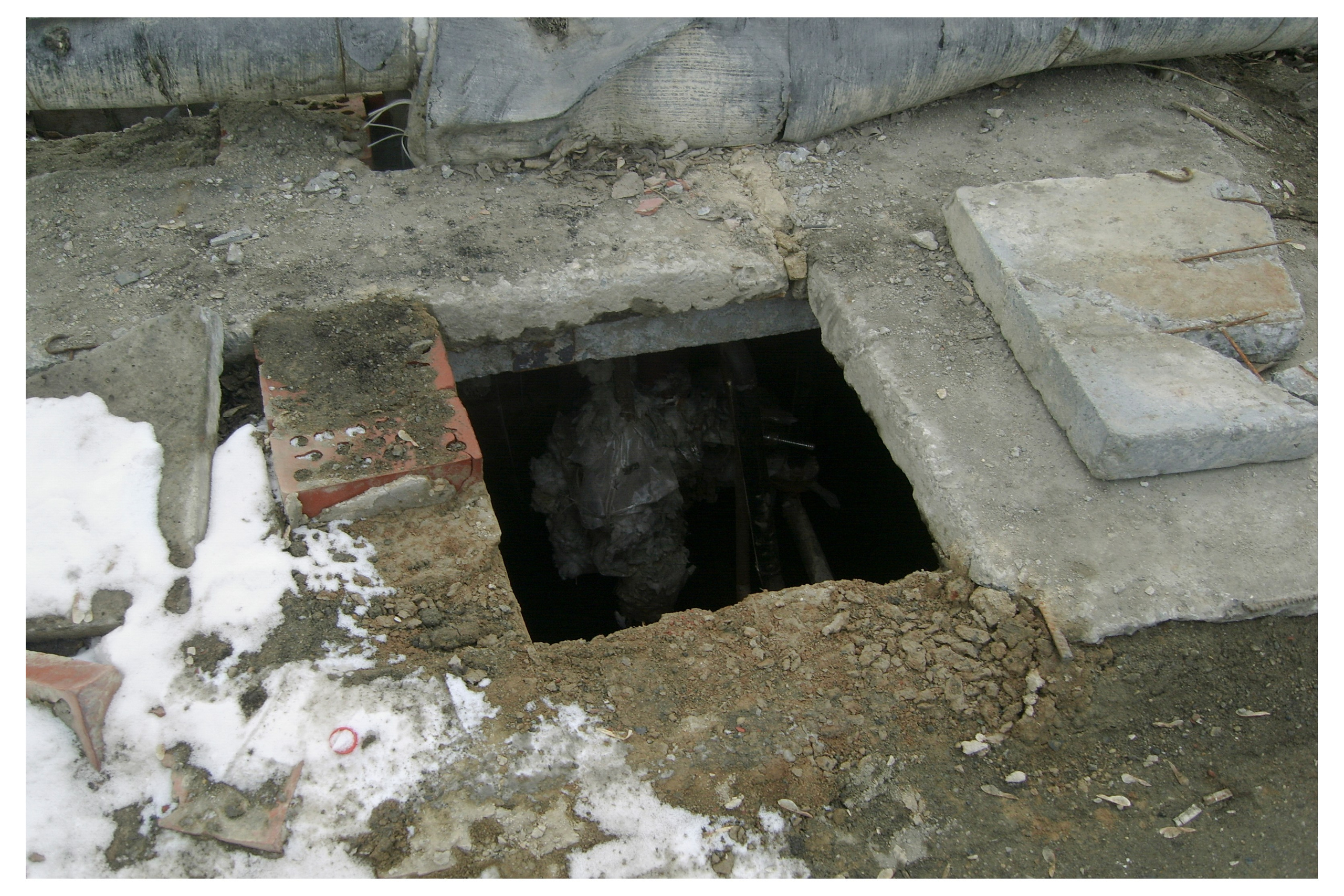 MIASS. Photographer Manakova Olga