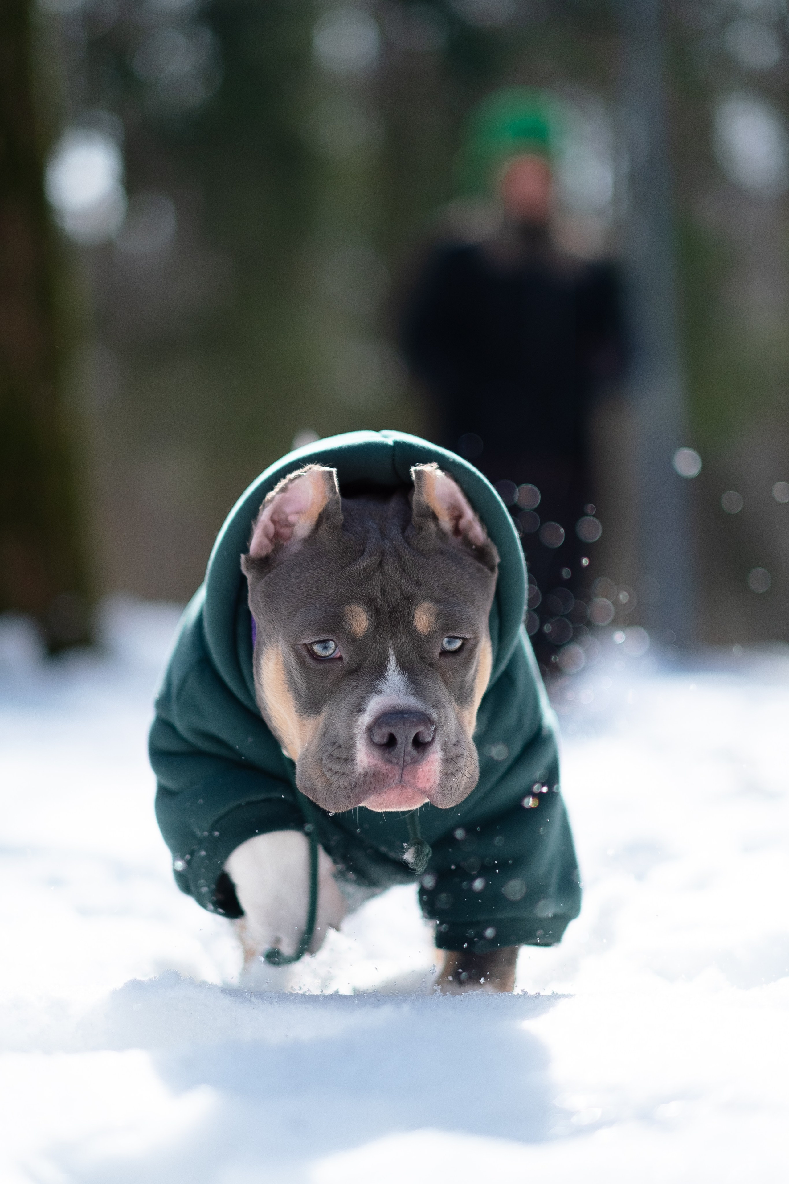 Валерия и Наган. Фотограф и видеограф анималист Аганина Дарья
