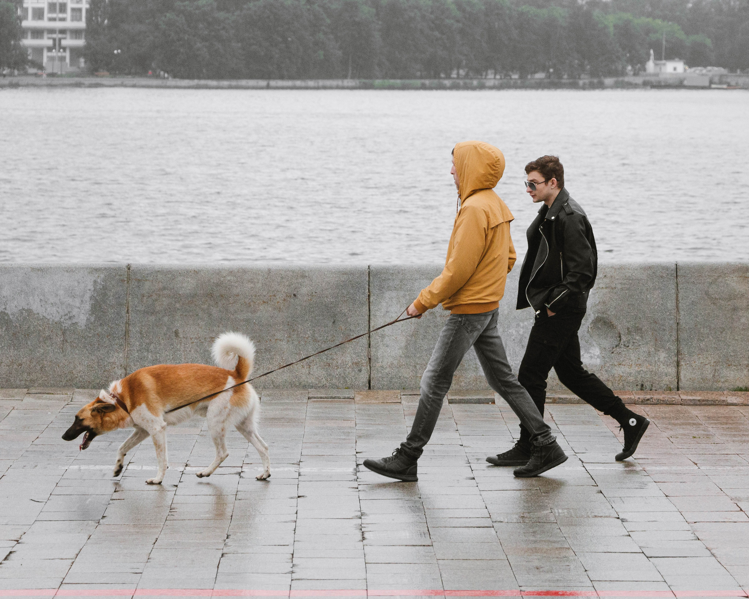 Стрит фото. Олег Романов. Мастер фото по спорту