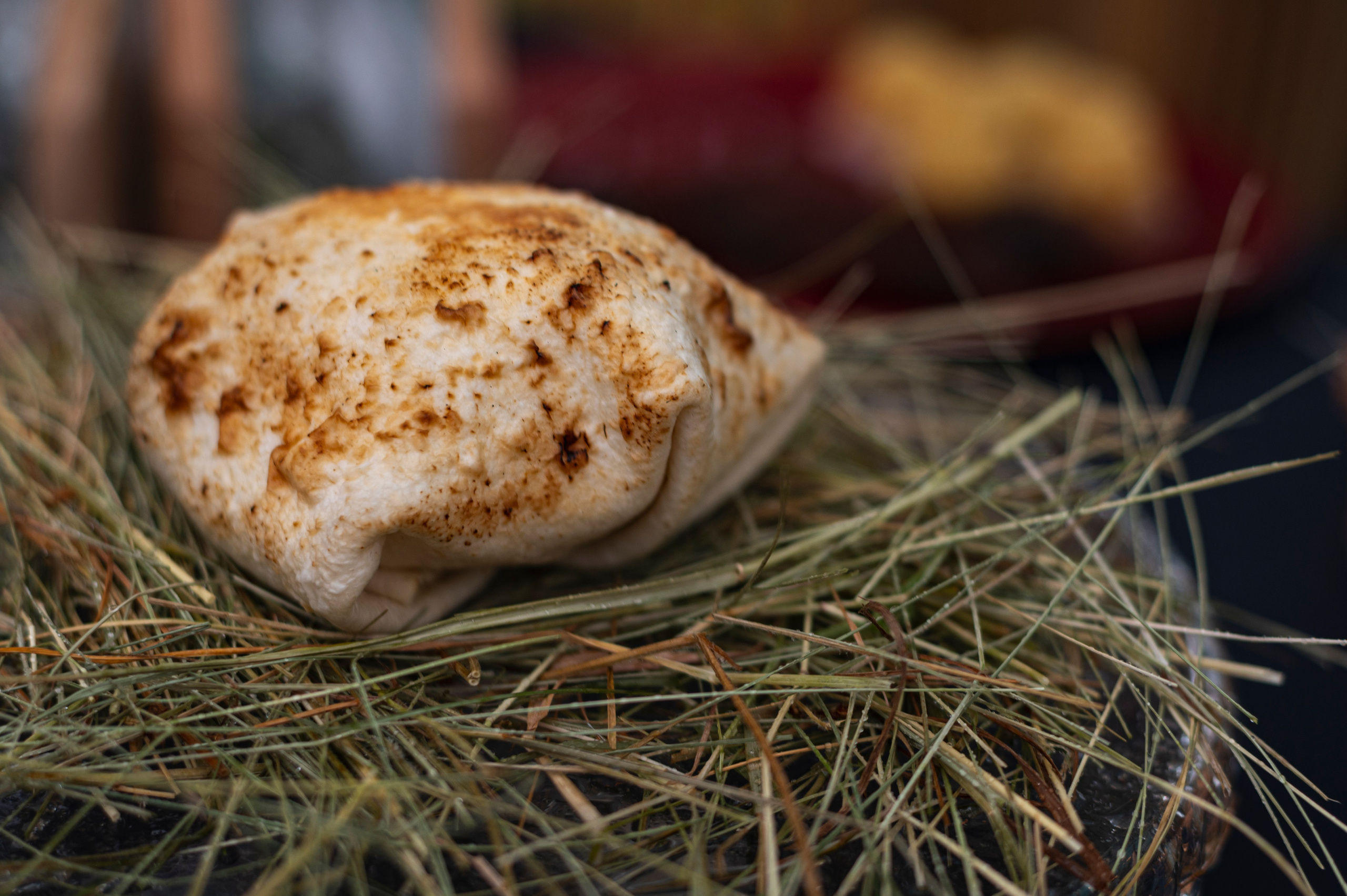 Казань. Сентябрь 2022. Фотограф Роман Адлер